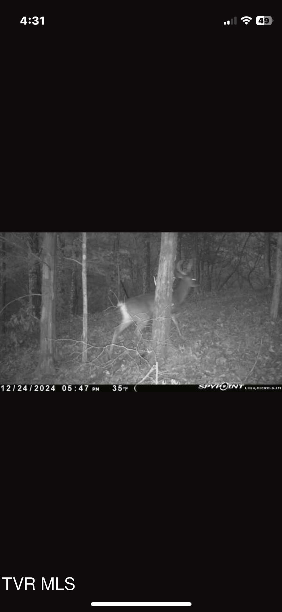 Lot 12 Moore Road, Mooresburg, Tennessee image 26