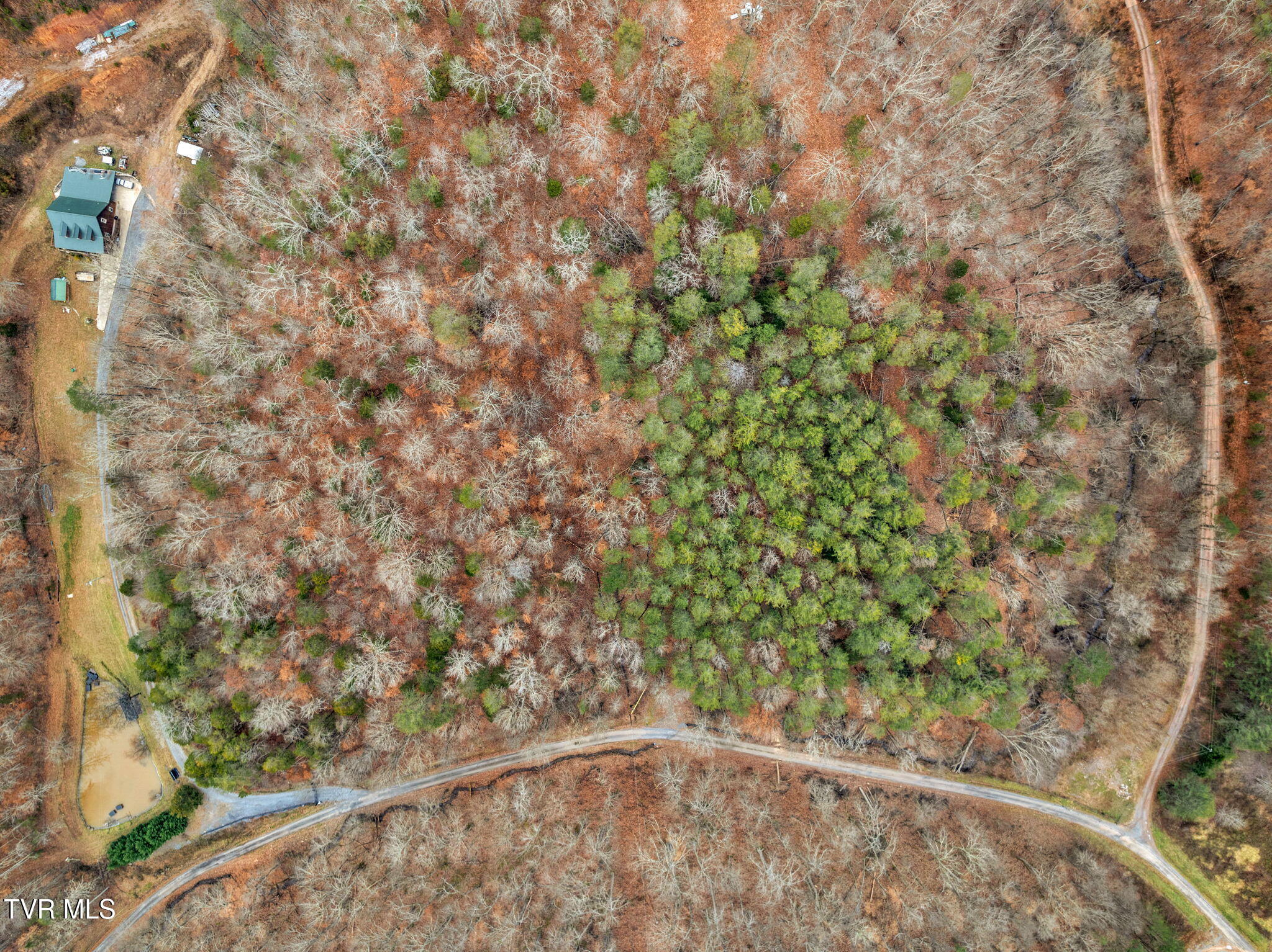 Lot 12 Moore Road, Mooresburg, Tennessee image 2