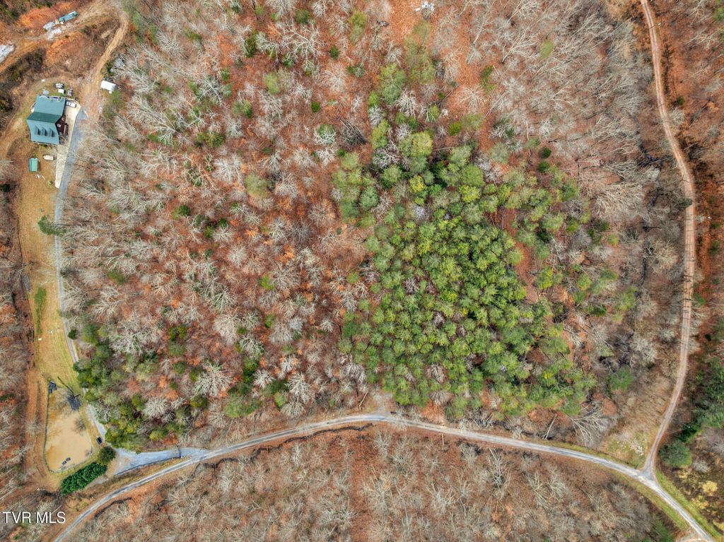 Photo of 12 Moore Road, Mooresburg, TN 37811 (MLS # 9975658)