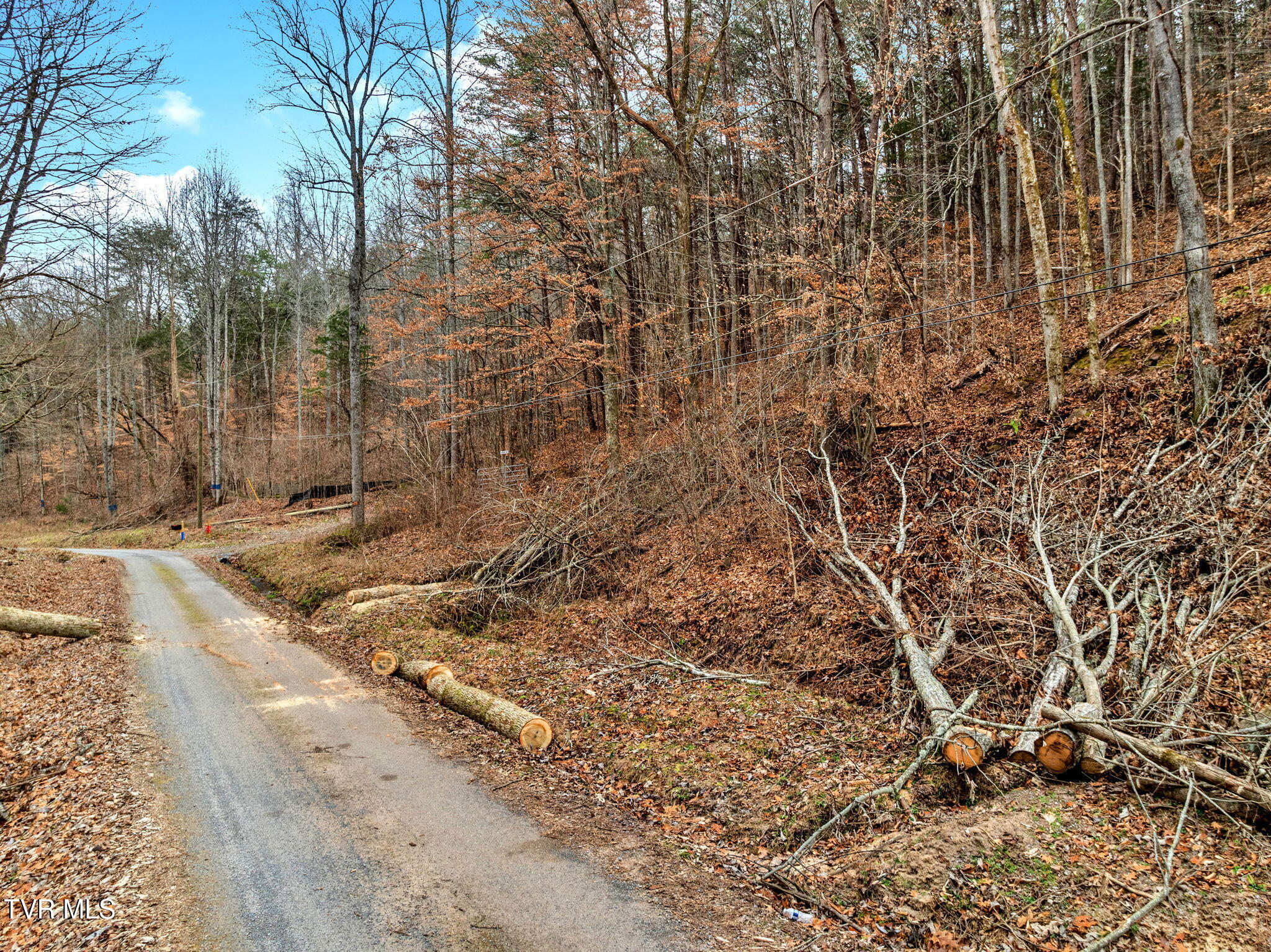 Lot 12 Moore Road, Mooresburg, Tennessee image 16