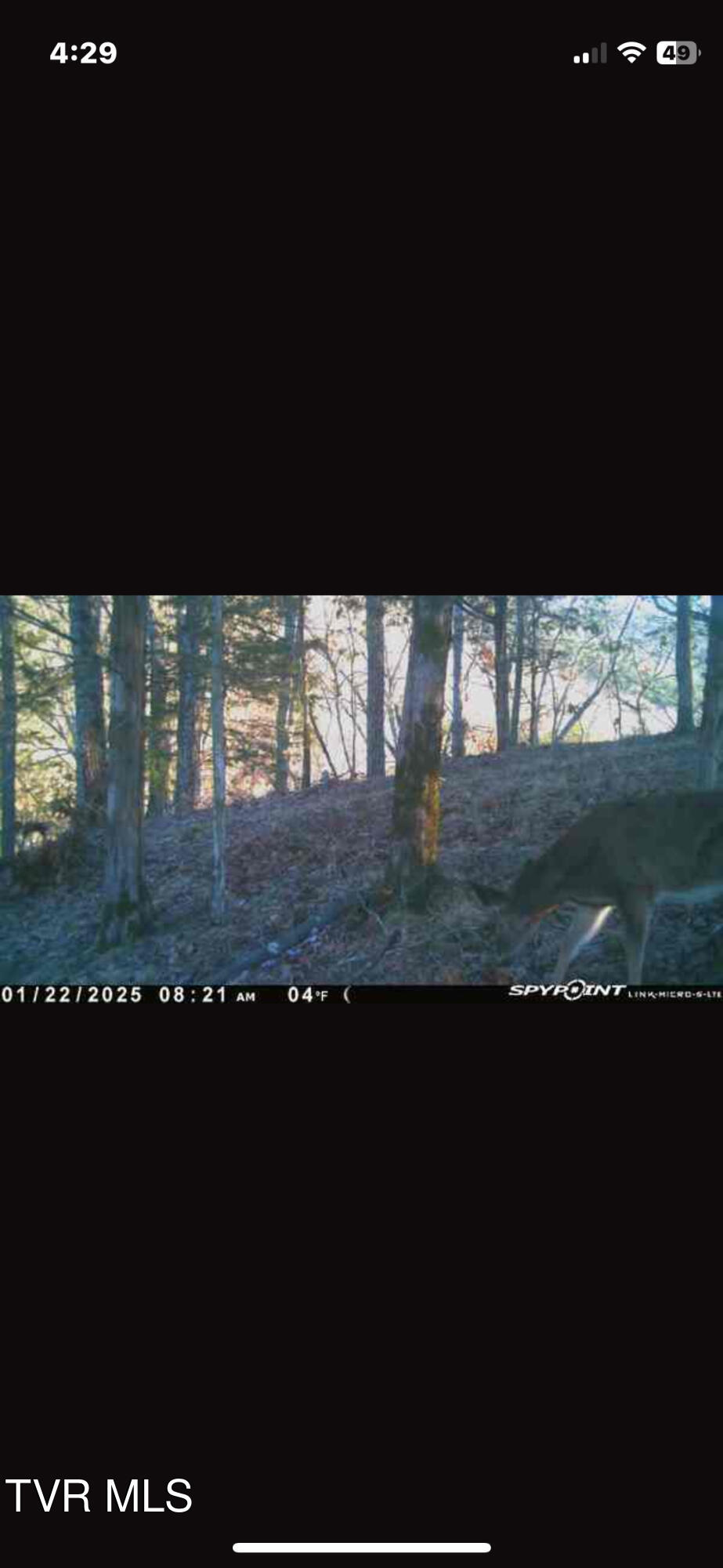 Lot 12 Moore Road, Mooresburg, Tennessee image 20