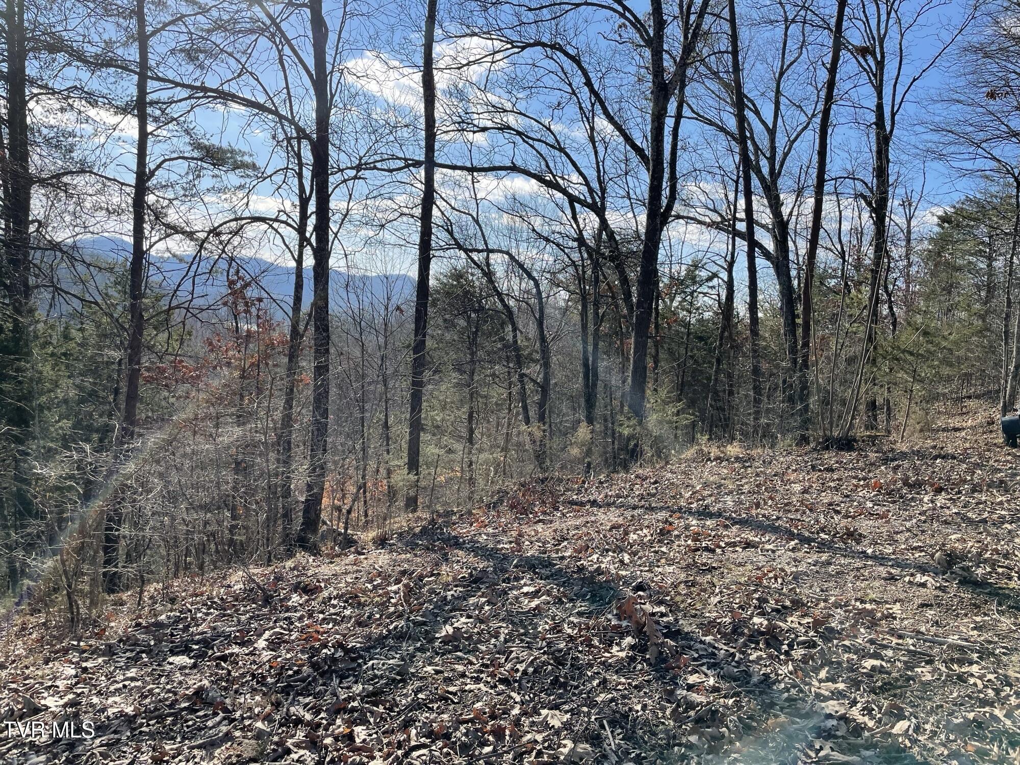Lot 12 Moore Road, Mooresburg, Tennessee image 18