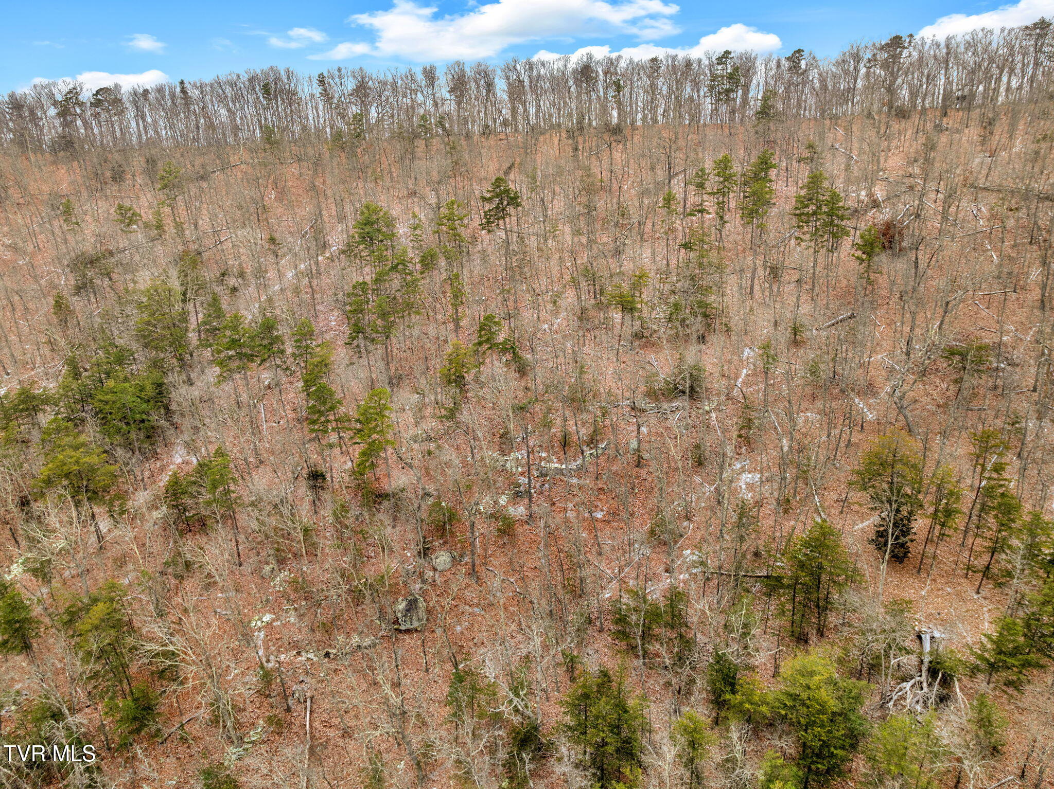 Lot 12 Moore Road, Mooresburg, Tennessee image 11