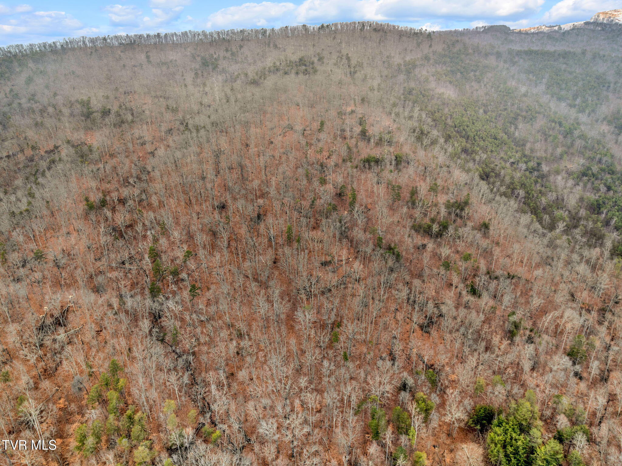 Lot 12 Moore Road, Mooresburg, Tennessee image 14