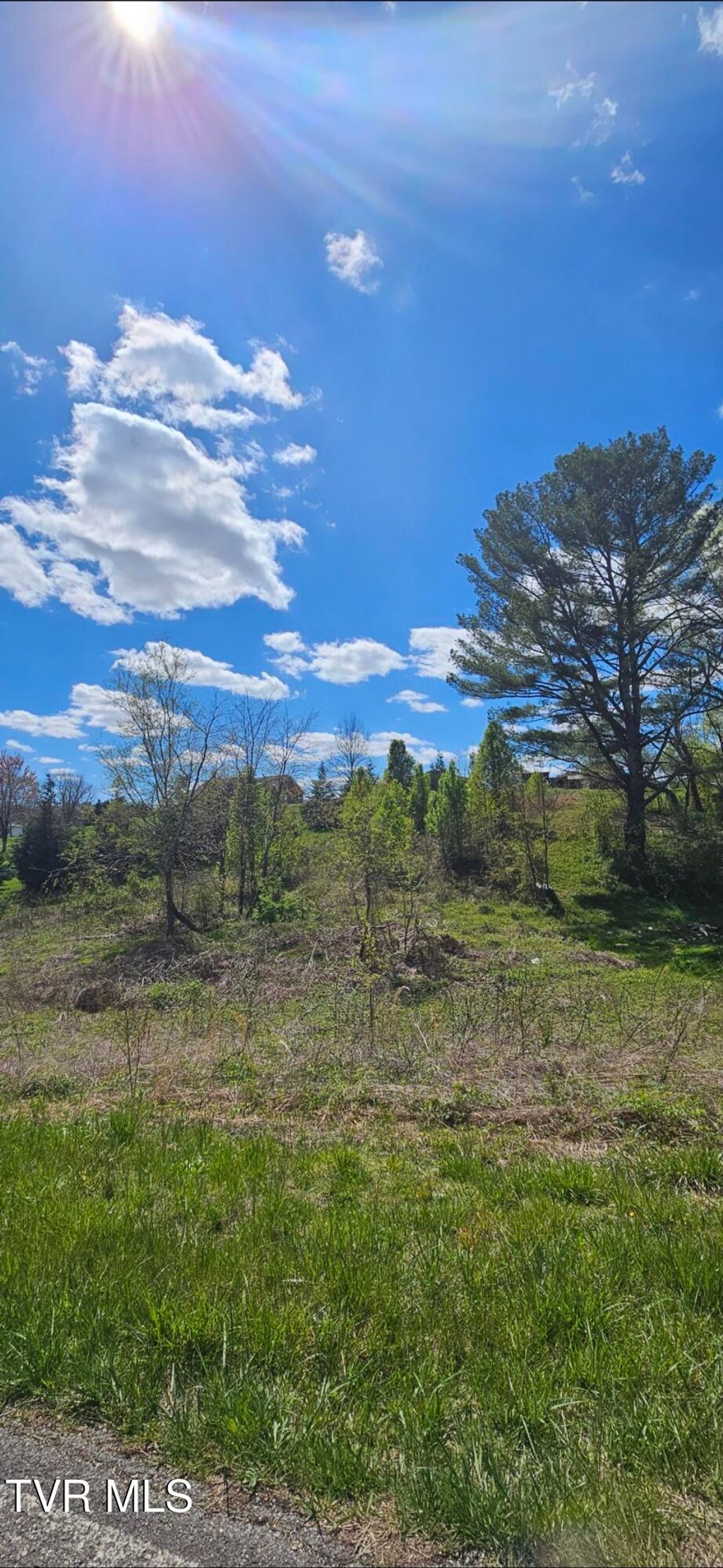 Photo of Tbd Honeysuckle Lane, Chuckey, TN 37641 (MLS # 9988408)