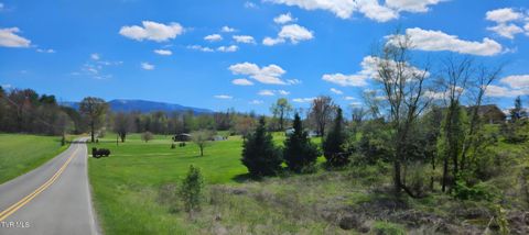 Vacant Land For Sale - TBD Honeysuckle Lane<br/> Chuckey, TN 37641