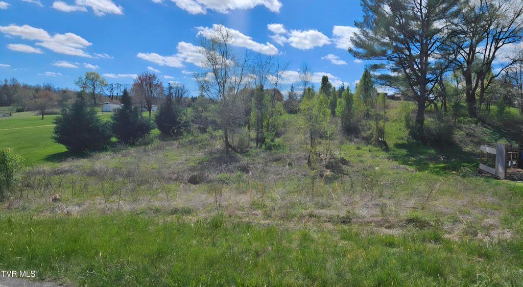 Photo of Tbd Honeysuckle Lane, Chuckey, TN 37641 (MLS # 9988408)