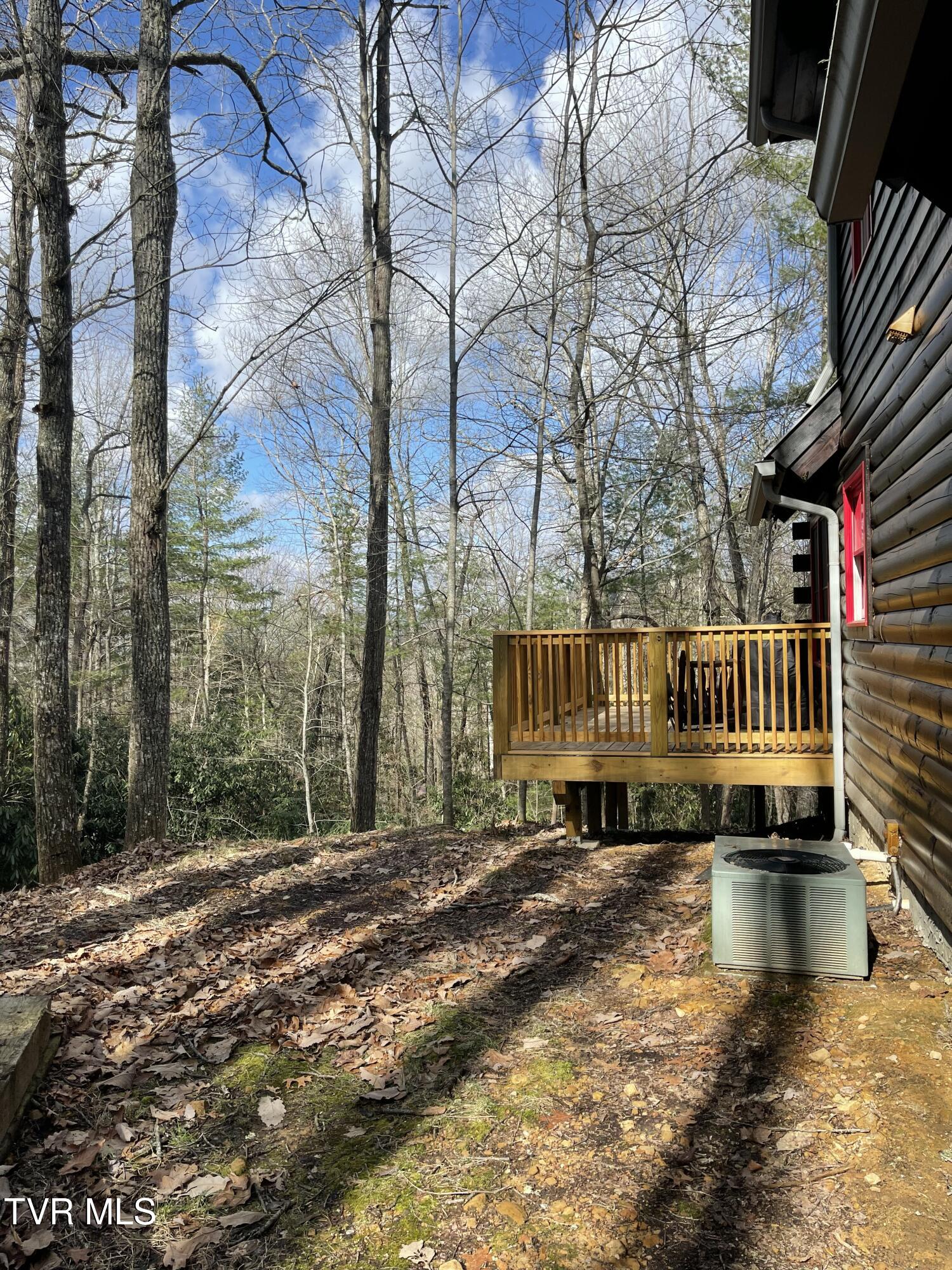 2547 Callalantee Drive, Mountain City, Tennessee image 13