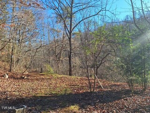 Vacant Land For Sale - 289A Early Branch Road<br/> Rogersville, TN 37857