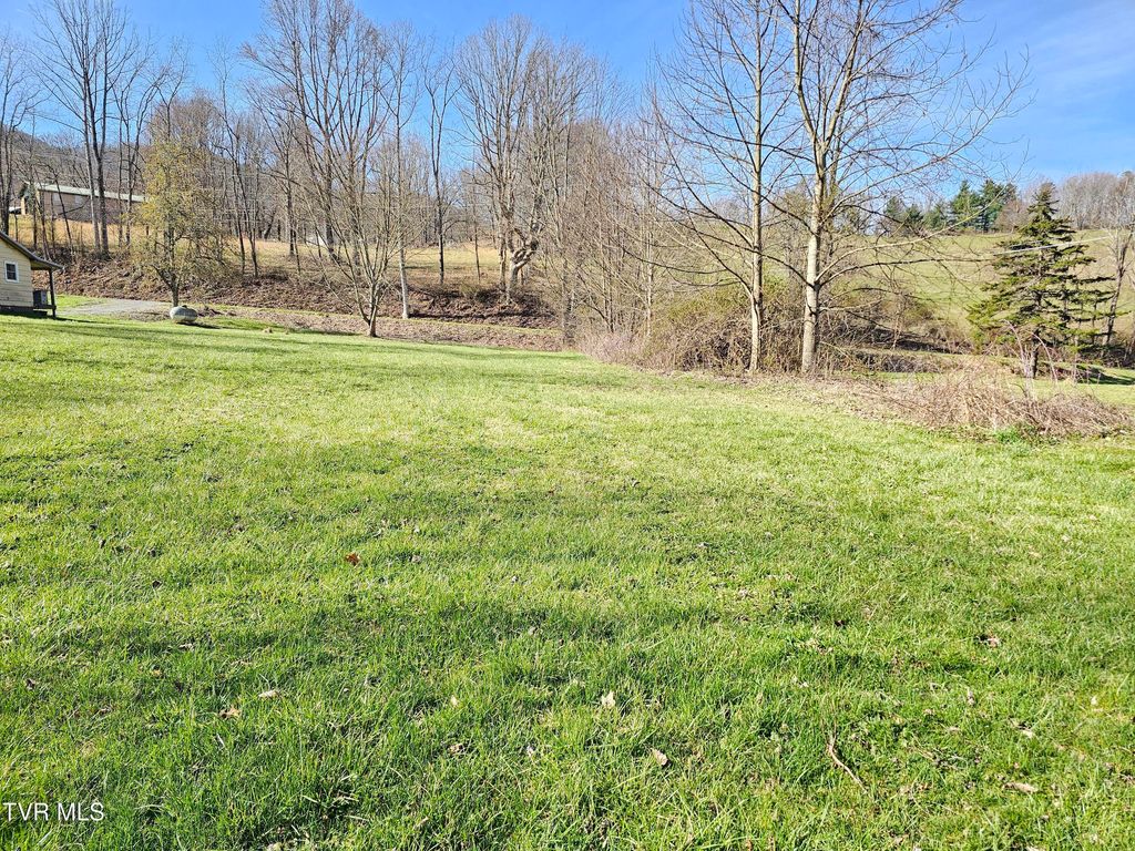 Photo of 1843 Saint Clairs Creek Road, Chilhowie, VA 24319 (MLS # 9992972)