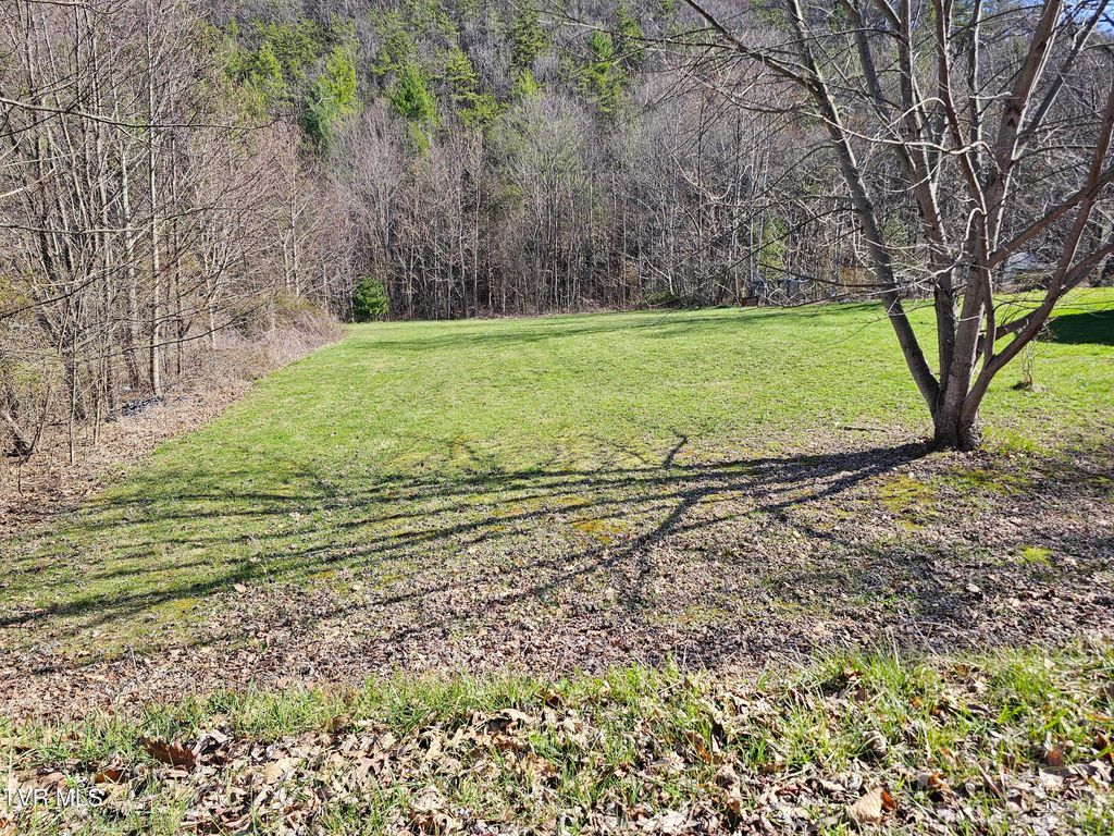 Photo of 1843 Saint Clairs Creek Road, Chilhowie, VA 24319 (MLS # 9992972)