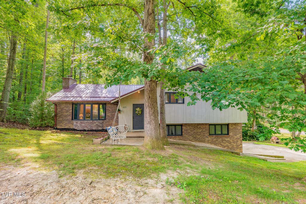 Photo of 625 Dover Avenue, Mount Carmel, TN 37645 (MLS # 9999896)