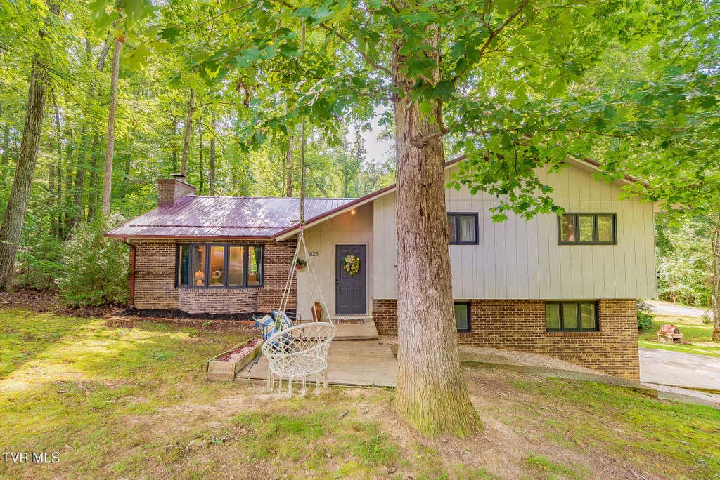 Photo of 625 Dover Avenue, Mount Carmel, TN 37645 (MLS # 9999896)