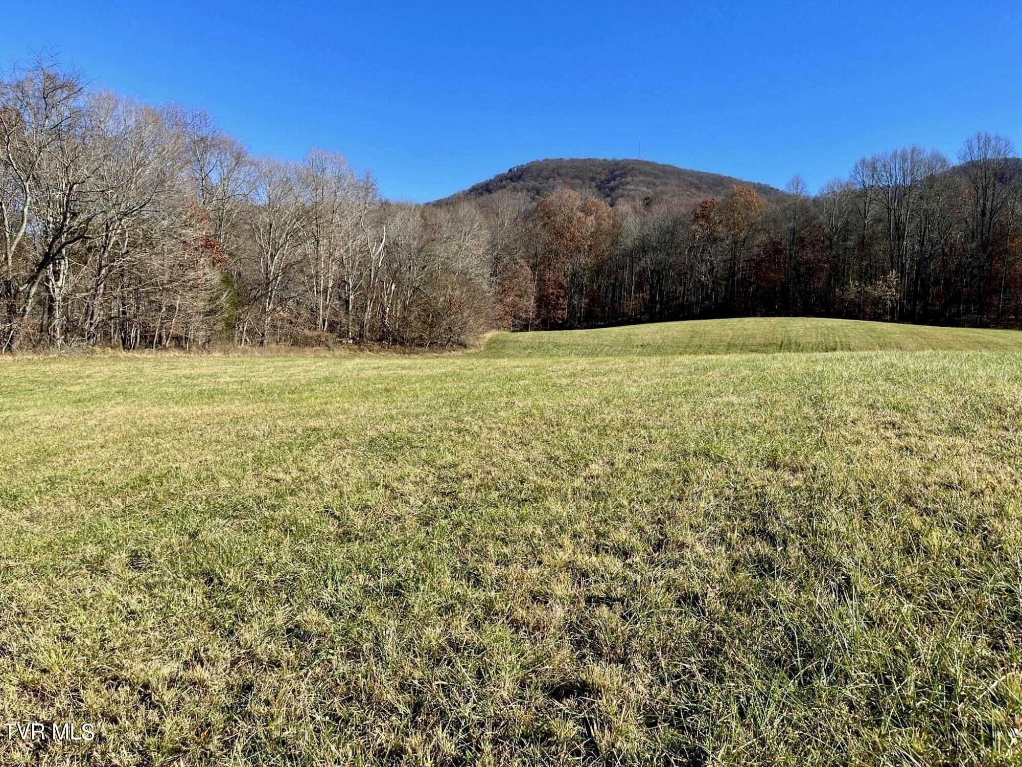 2908 Nickelsville Highway, Gate City, Virginia image 7