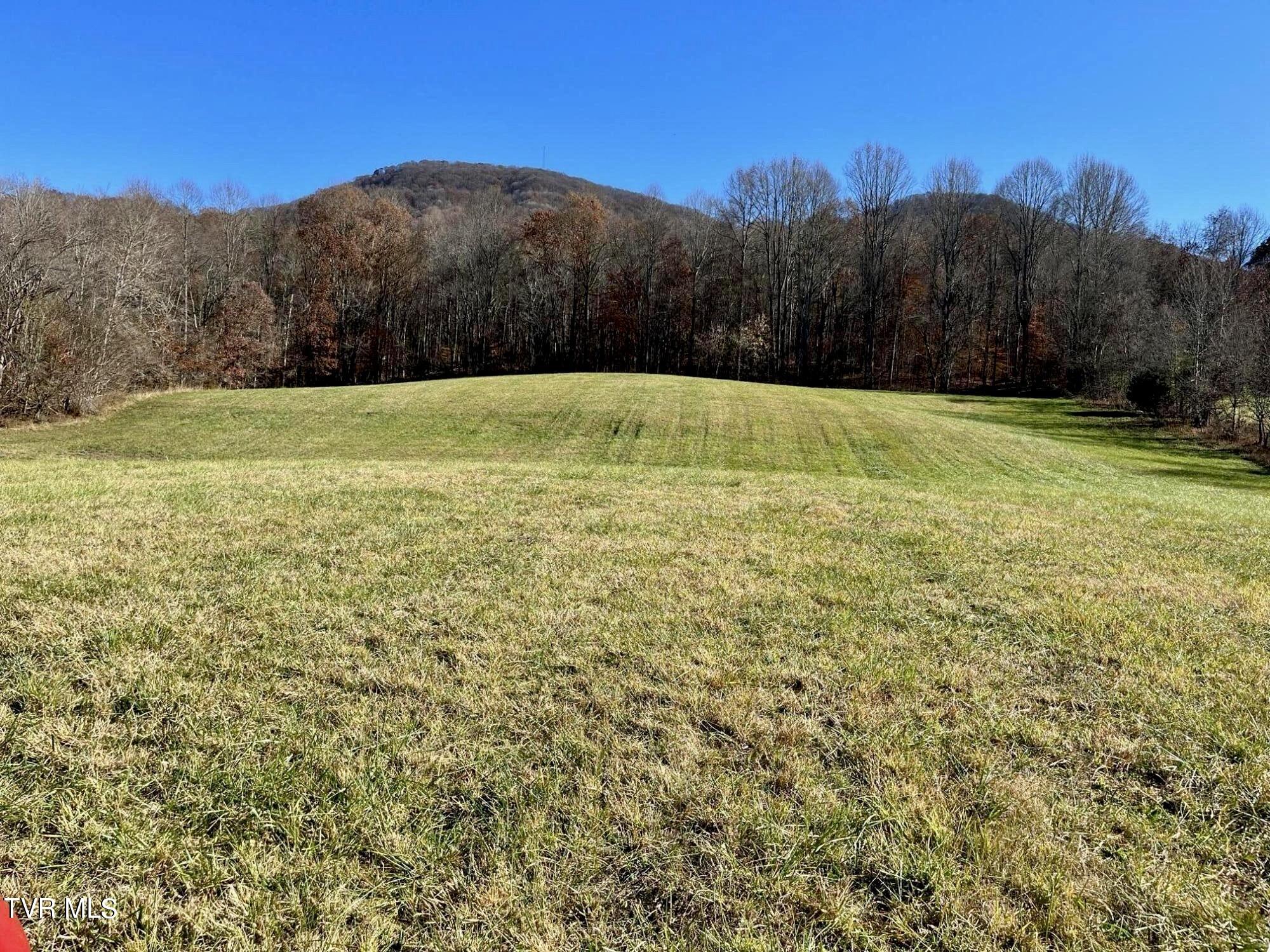 2908 Nickelsville Highway, Gate City, Virginia image 3