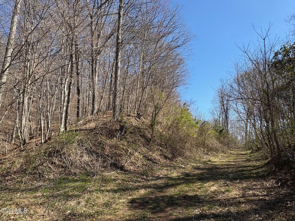 Photo of Tbd Clark Street, Saltville, VA 24370 (MLS # 9977891)