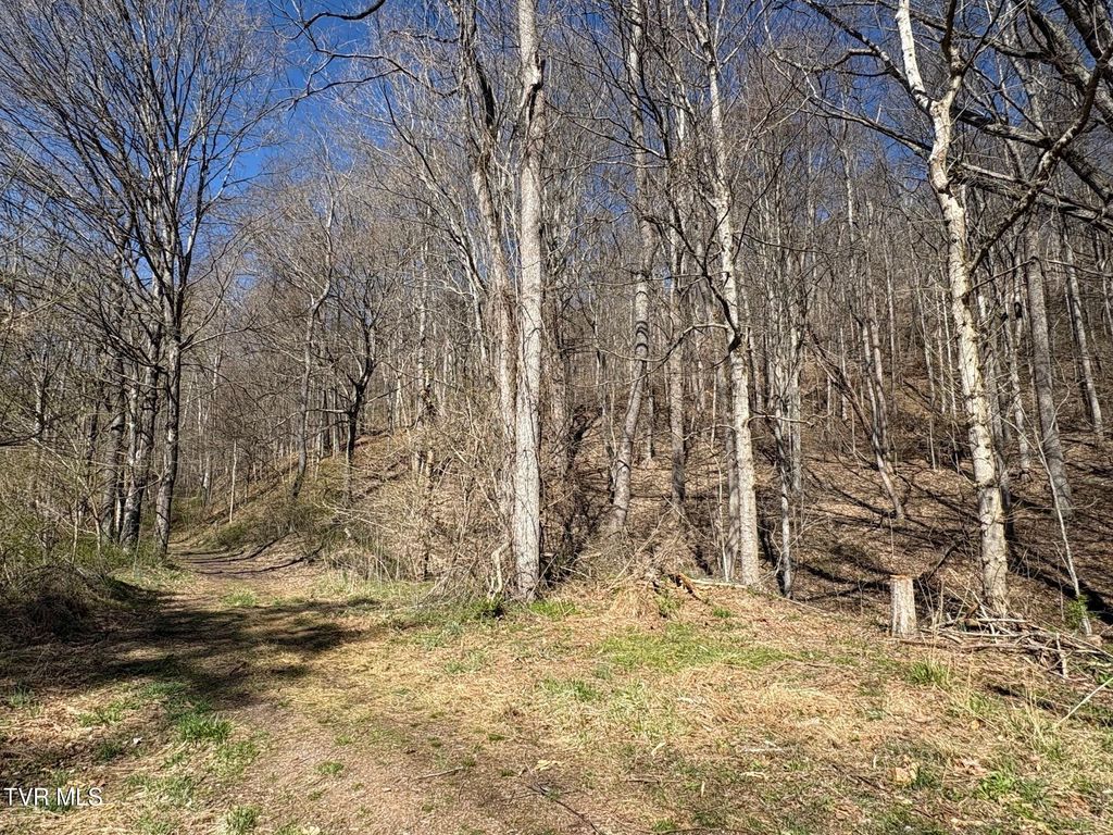 Photo of Tbd Clark Street, Saltville, VA 24370 (MLS # 9977891)