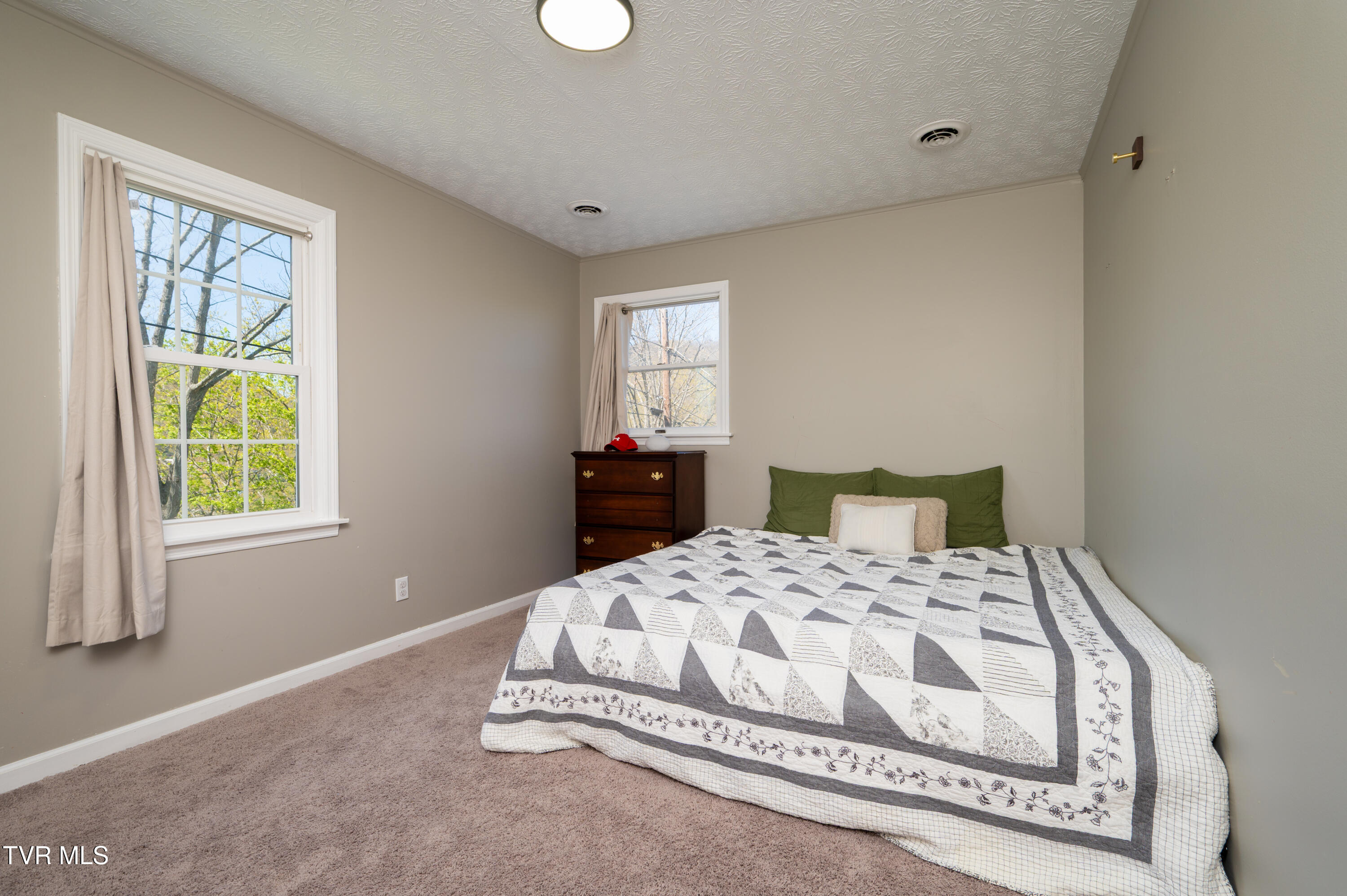 441 Skyline Drive, Gate City, Virginia image 30