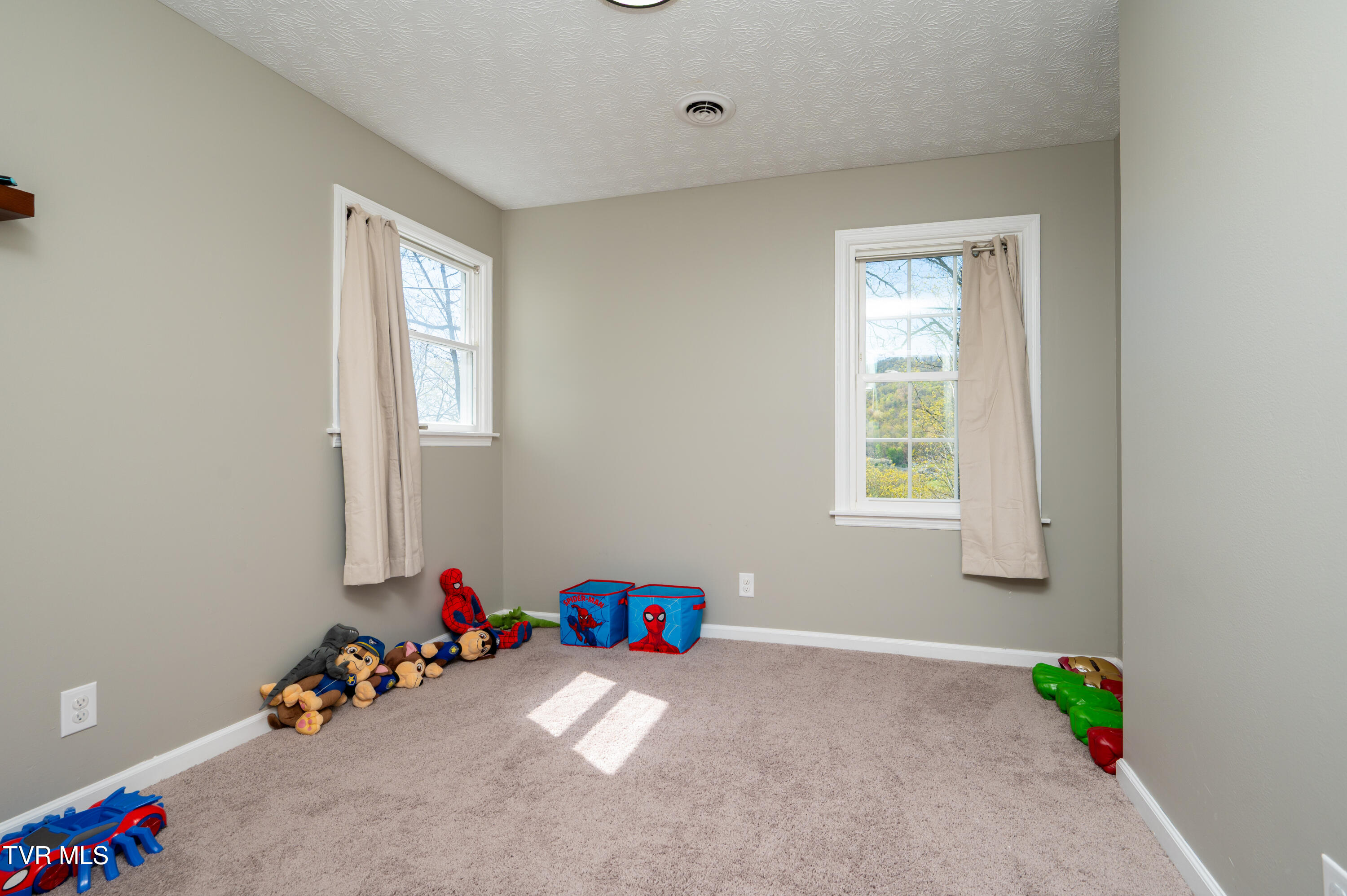 441 Skyline Drive, Gate City, Virginia image 25