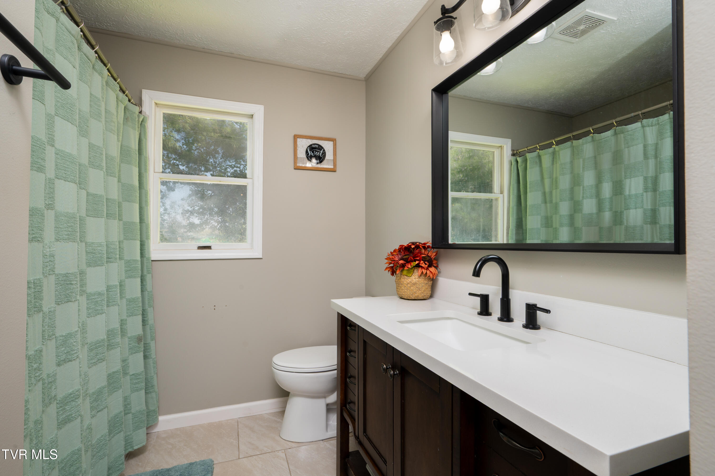 441 Skyline Drive, Gate City, Virginia image 23
