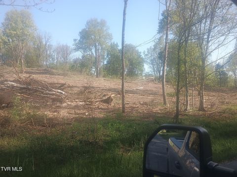 Vacant Land For Sale - LOT 4 Lakenheath Drive<br/> Bristol, TN 37620