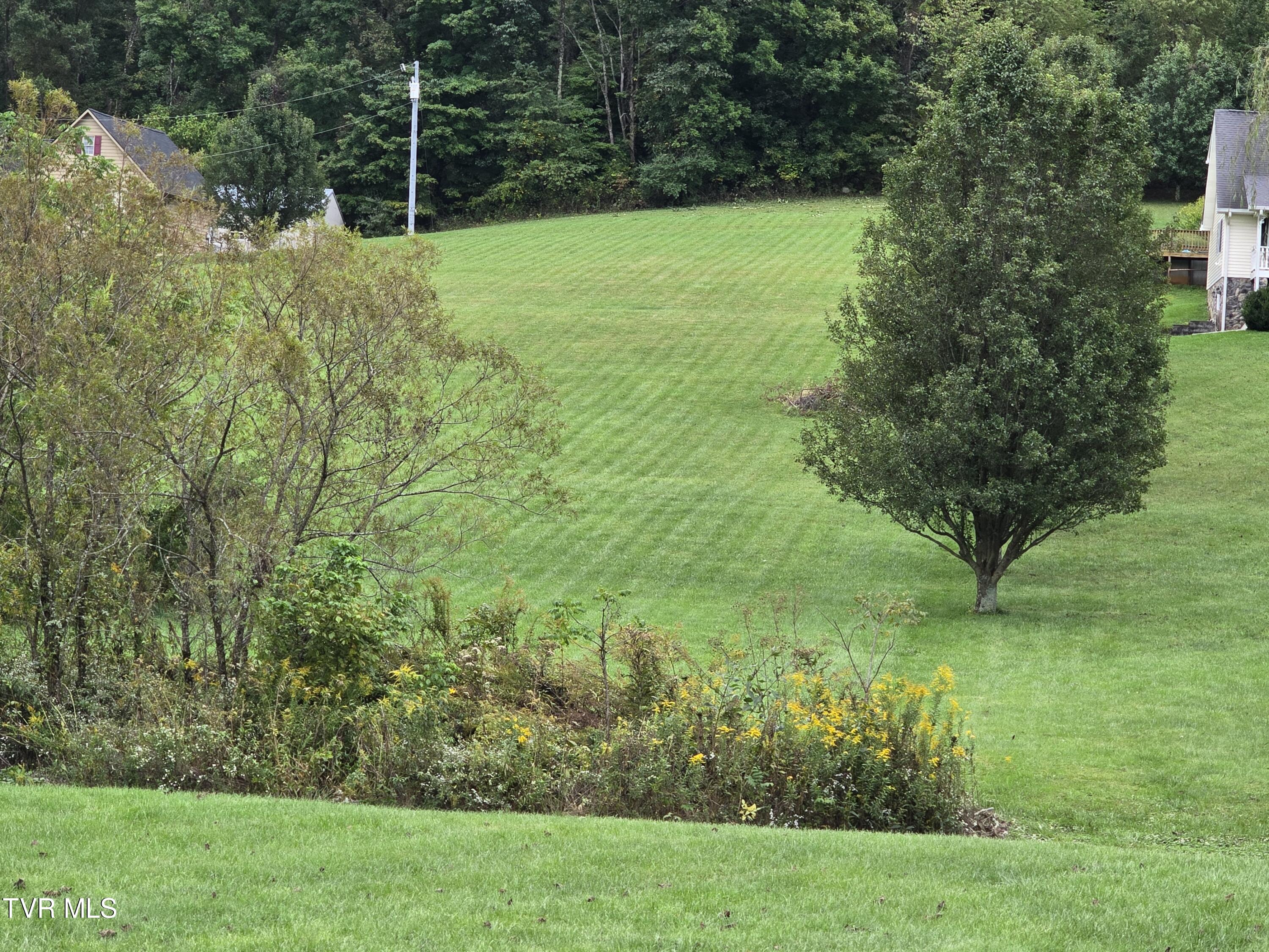 Tbd Dishner Valley Road, Bristol, Virginia image 15