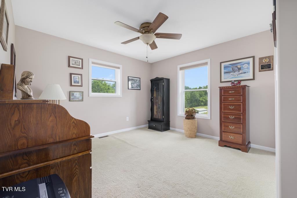 188 Frank Stanton Road, Limestone, Tennessee image 20