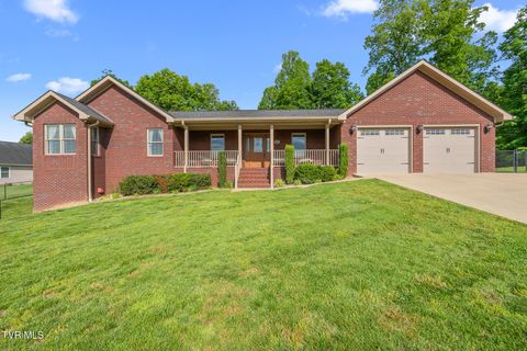Photo of 63 Faith Court, Greeneville, TN 37745 (MLS # 9995436)