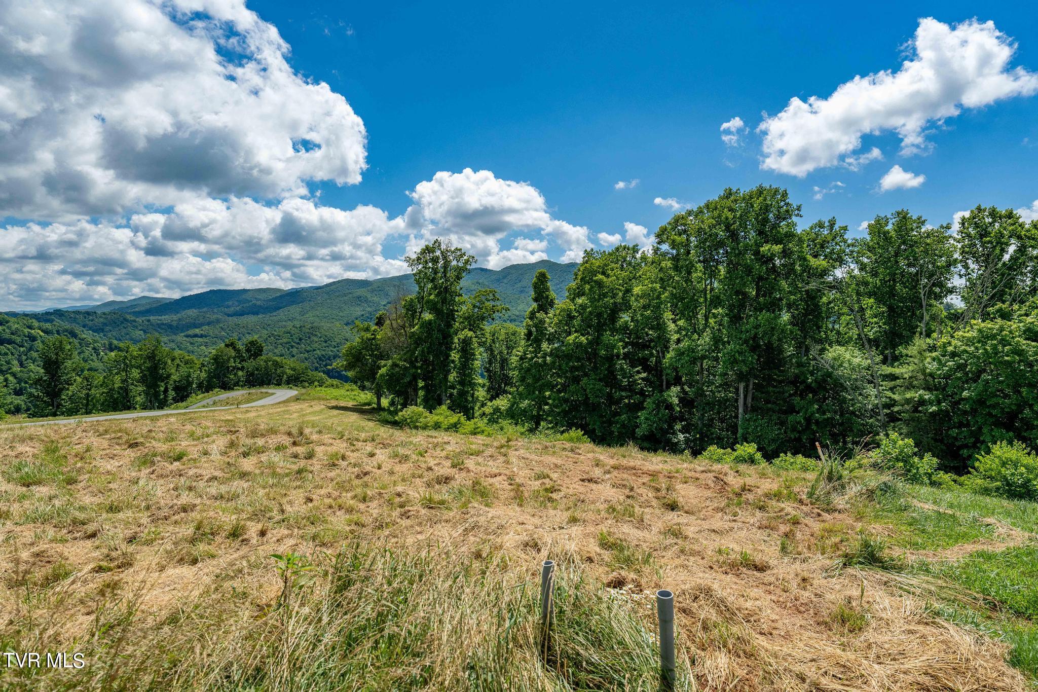 Lot 28 Eagle Ridge Parkway, Butler, Tennessee image 2