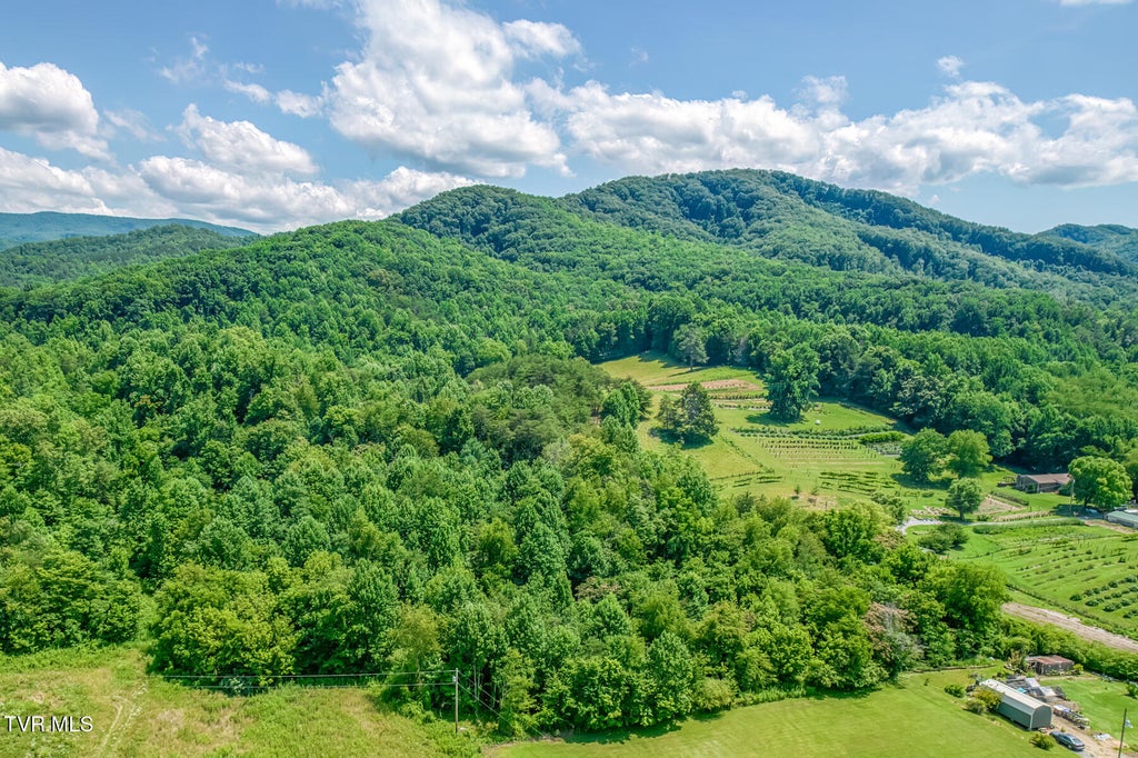 Photo of 1685 Tn-107, Jonesborough, TN 37659 (MLS # 9997423)