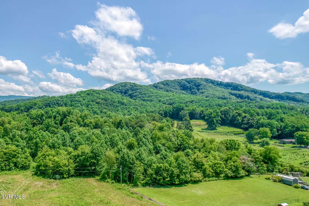 Photo of 1685 Tn-107, Jonesborough, TN 37659 (MLS # 9997423)