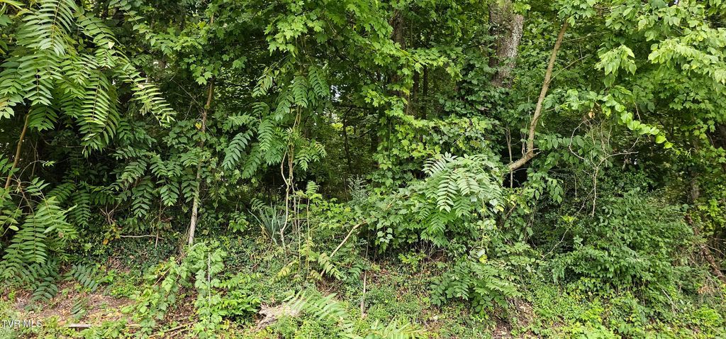 Photo of Tbd Green Spring Road, Abingdon, VA 24210 (MLS # 9987635)