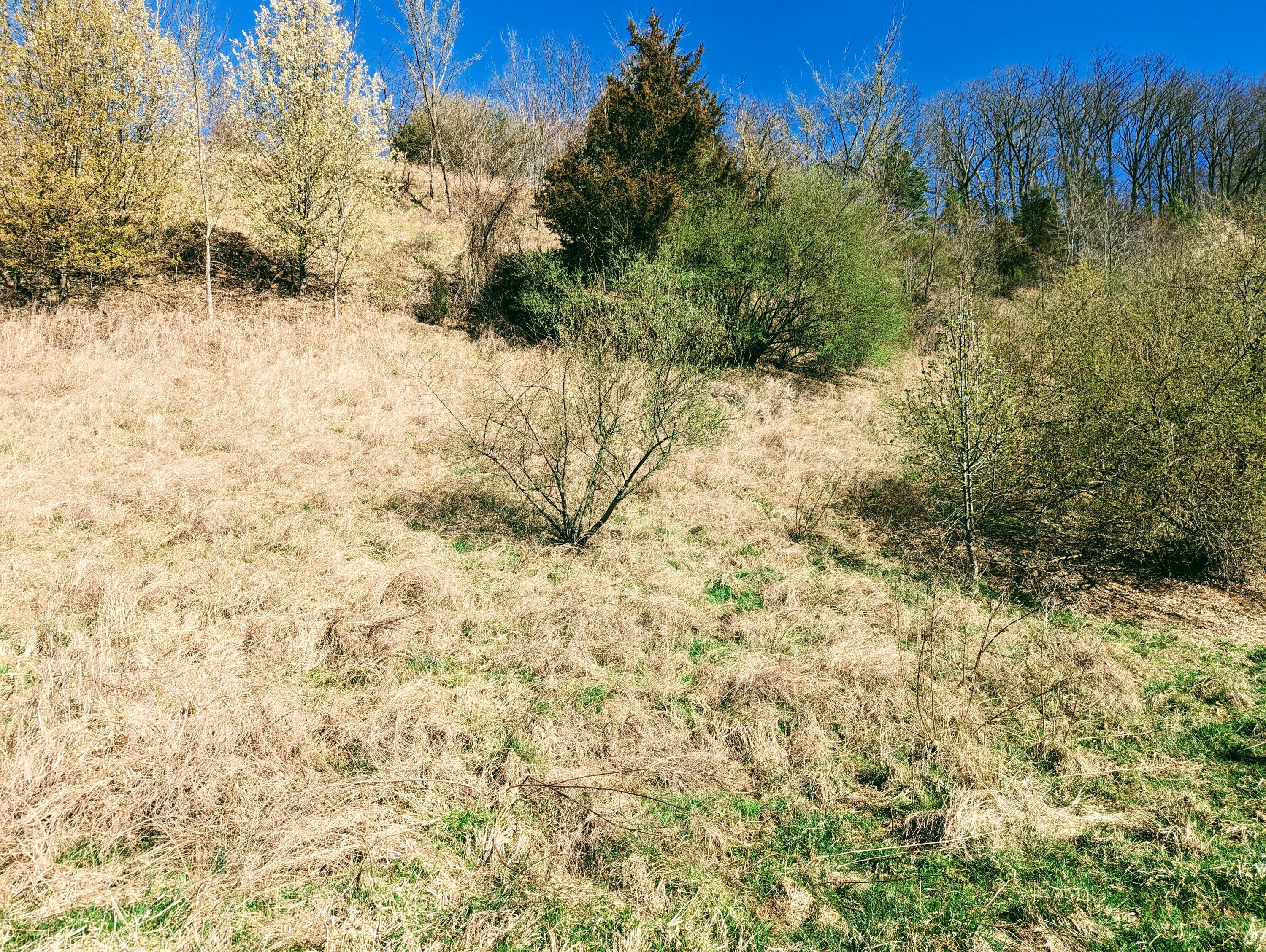Tbd Honey Camp, Clintwood, Virginia image 7