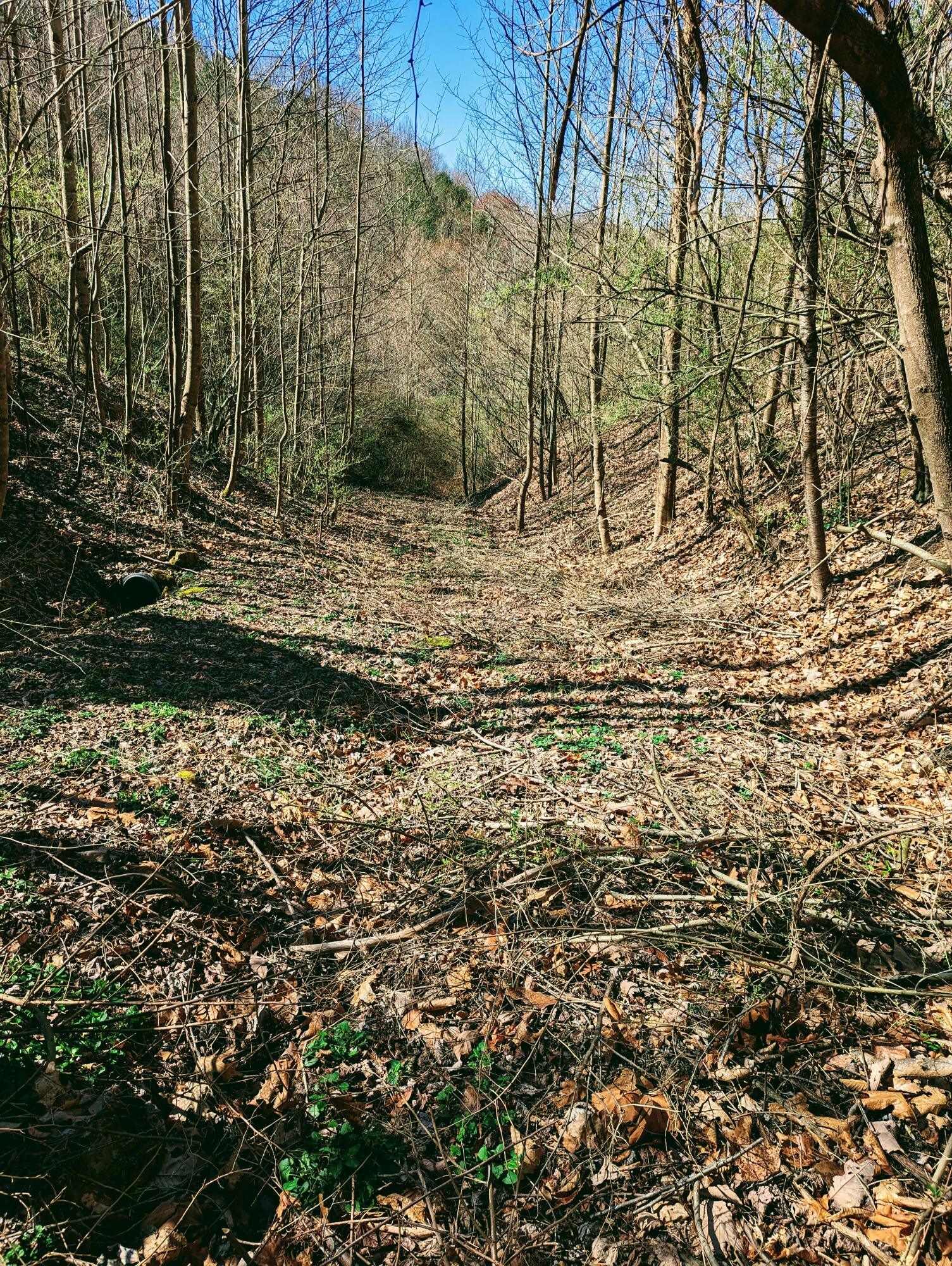 Tbd Honey Camp, Clintwood, Virginia image 13