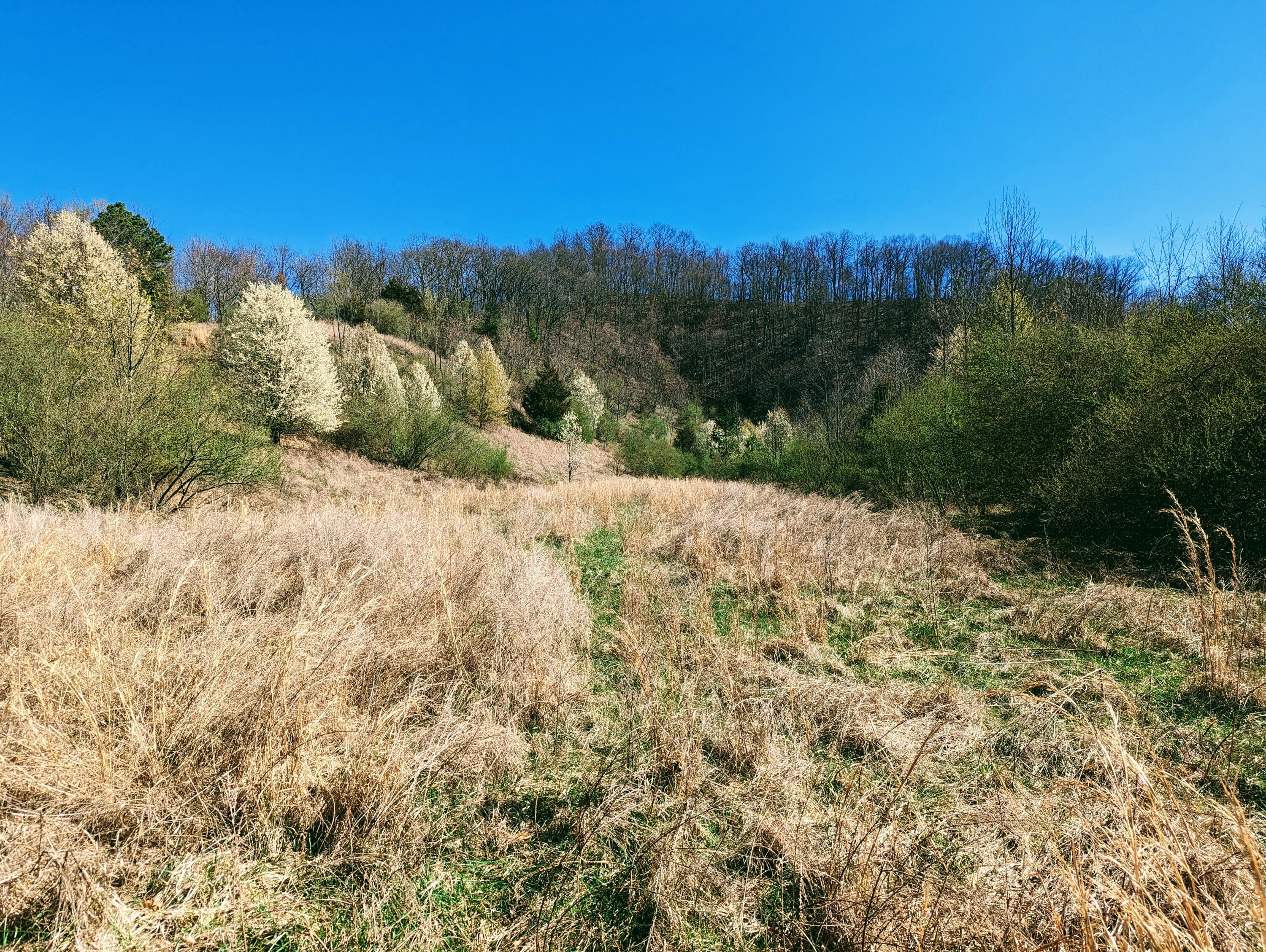 Tbd Honey Camp, Clintwood, Virginia image 1