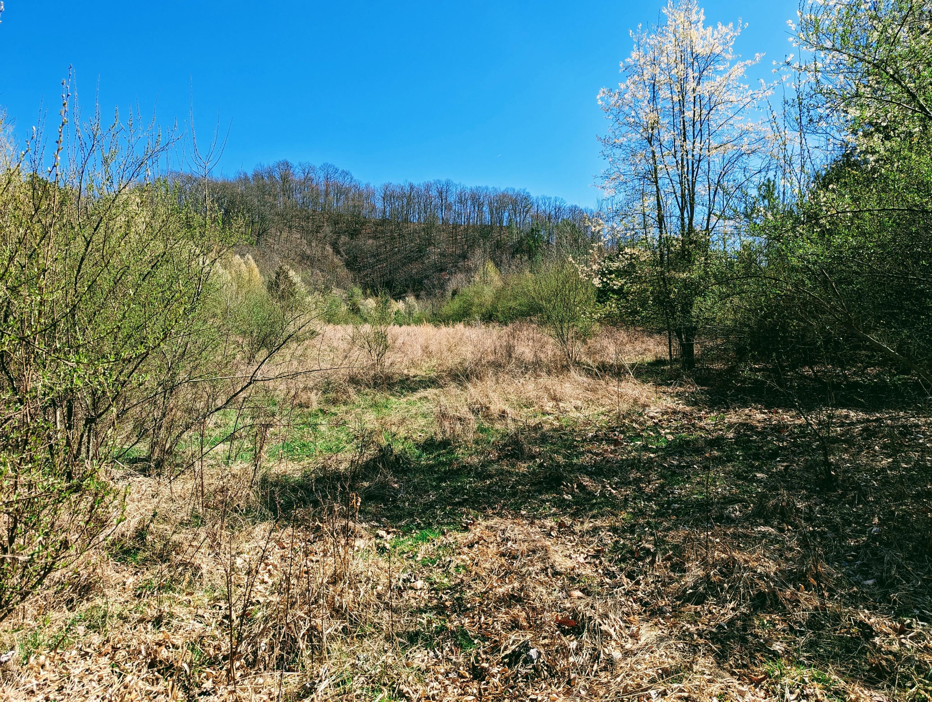Tbd Honey Camp, Clintwood, Virginia image 4