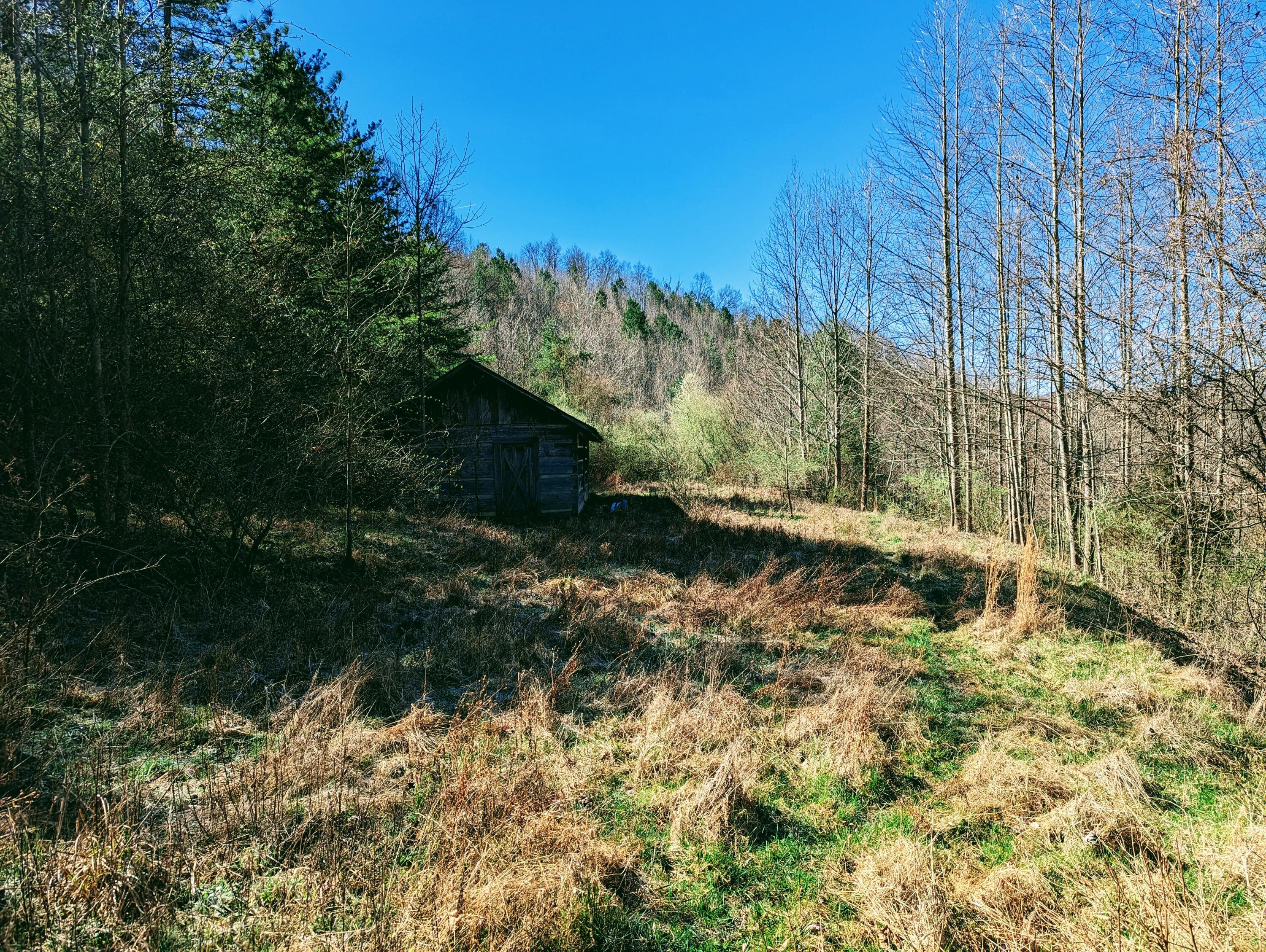 Tbd Honey Camp, Clintwood, Virginia image 18
