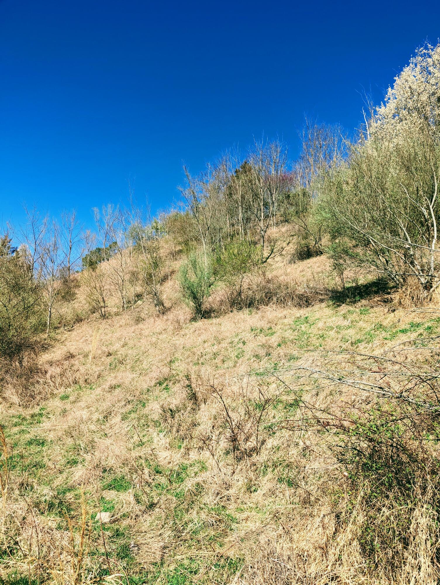 Tbd Honey Camp, Clintwood, Virginia image 10