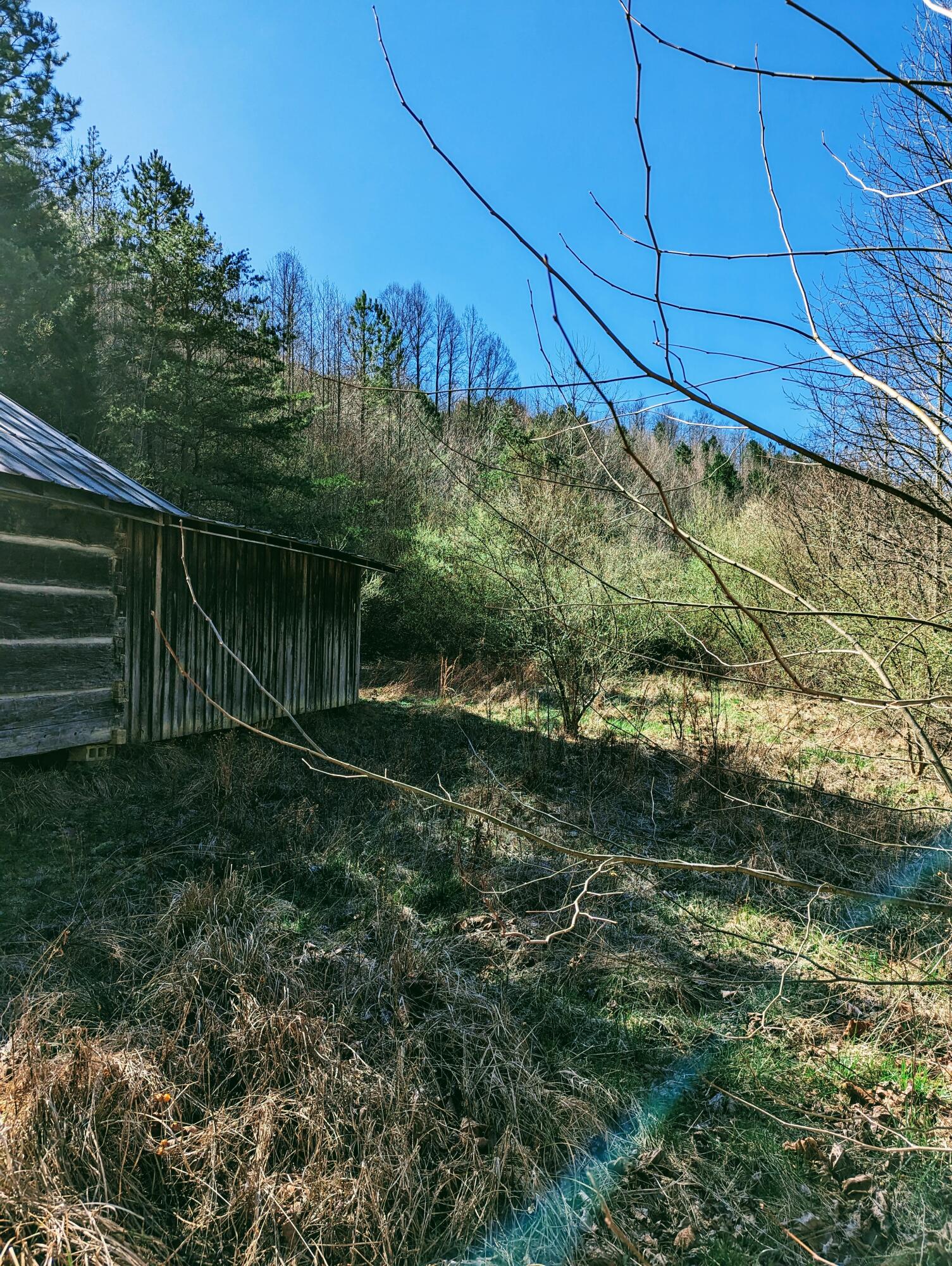 Tbd Honey Camp, Clintwood, Virginia image 15