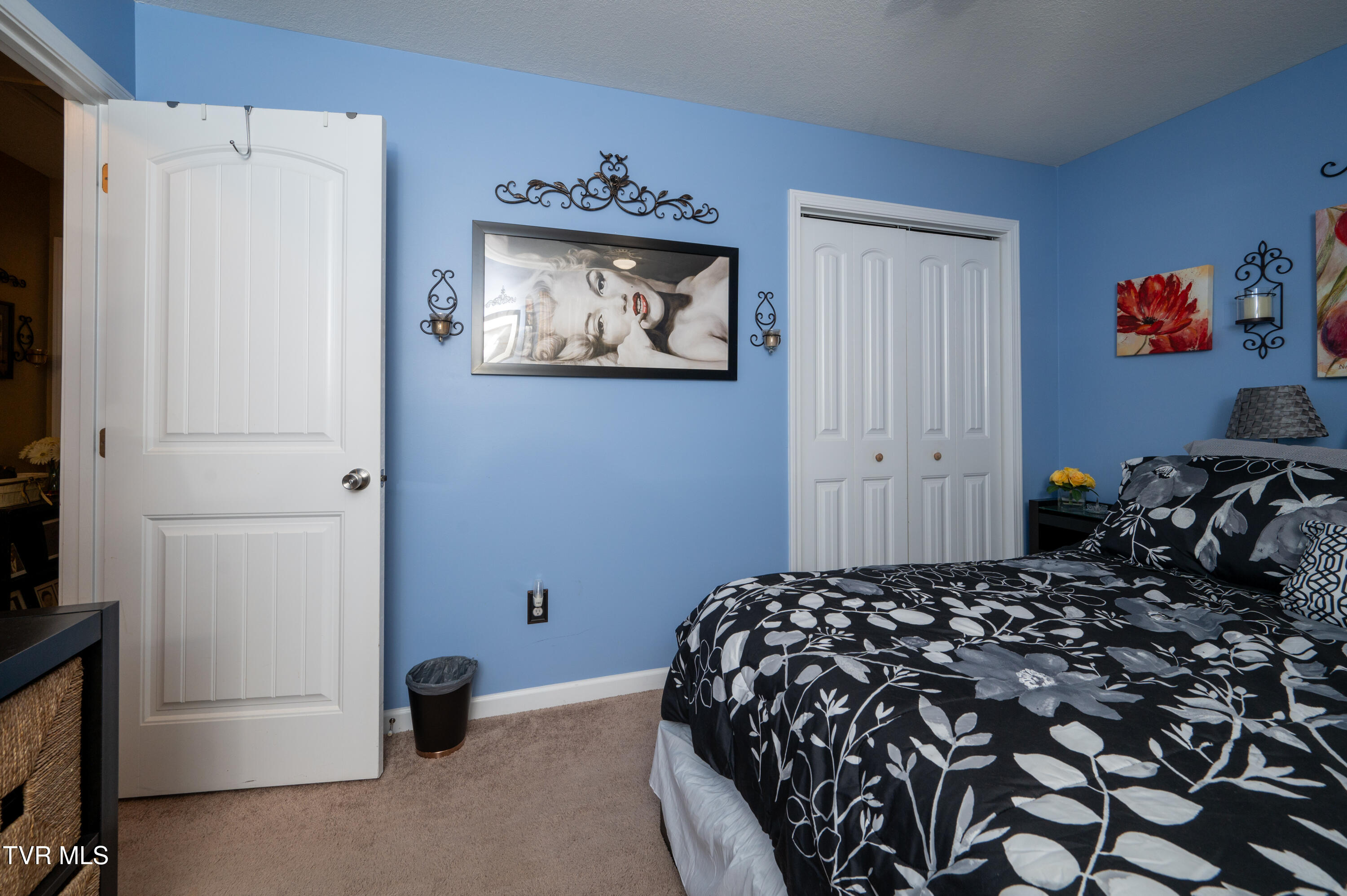 105 May Apple Drive, Bluff City, Tennessee image 28