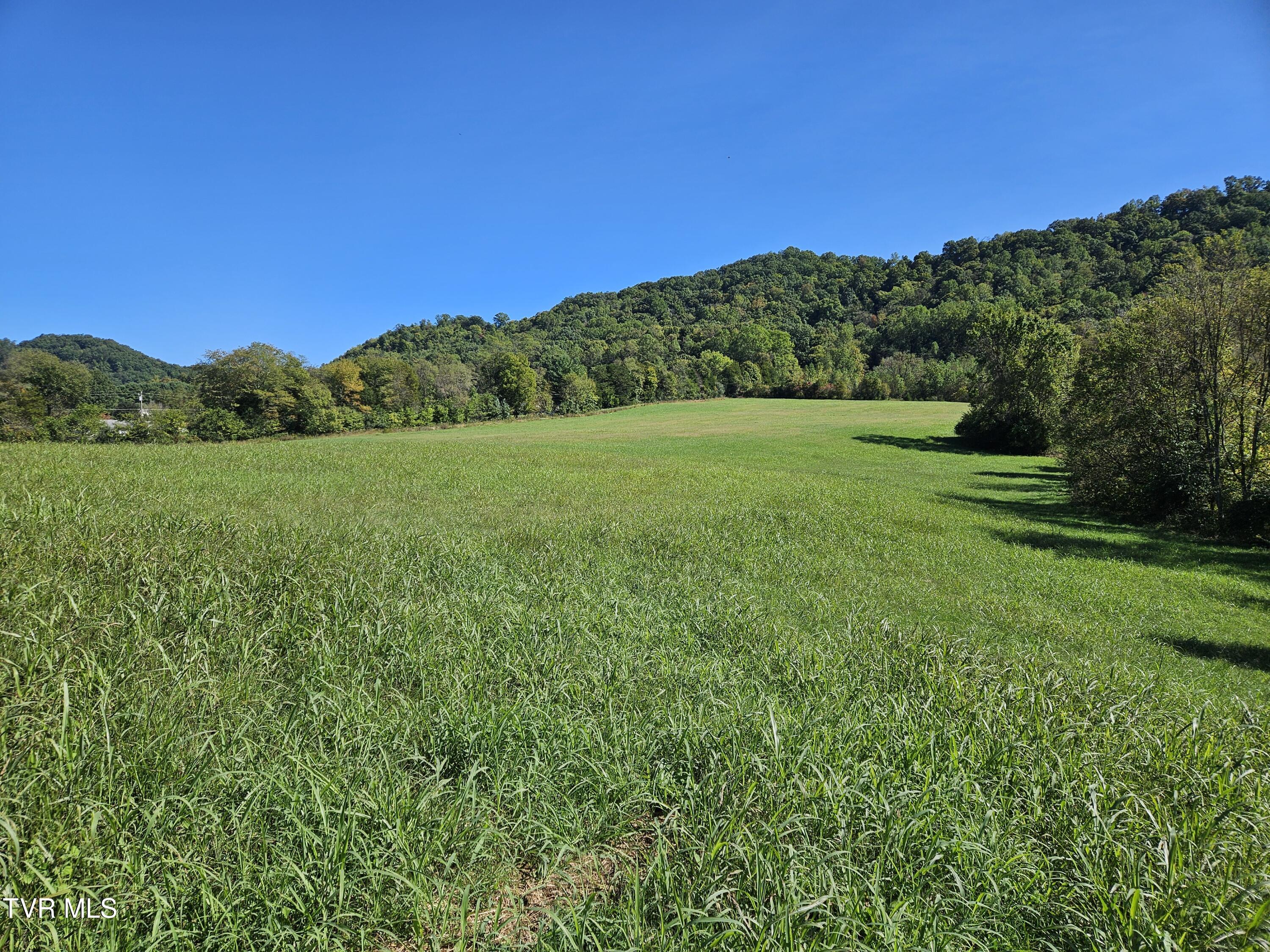 Tbd Caney Creek Road, Rogersville, Tennessee image 5