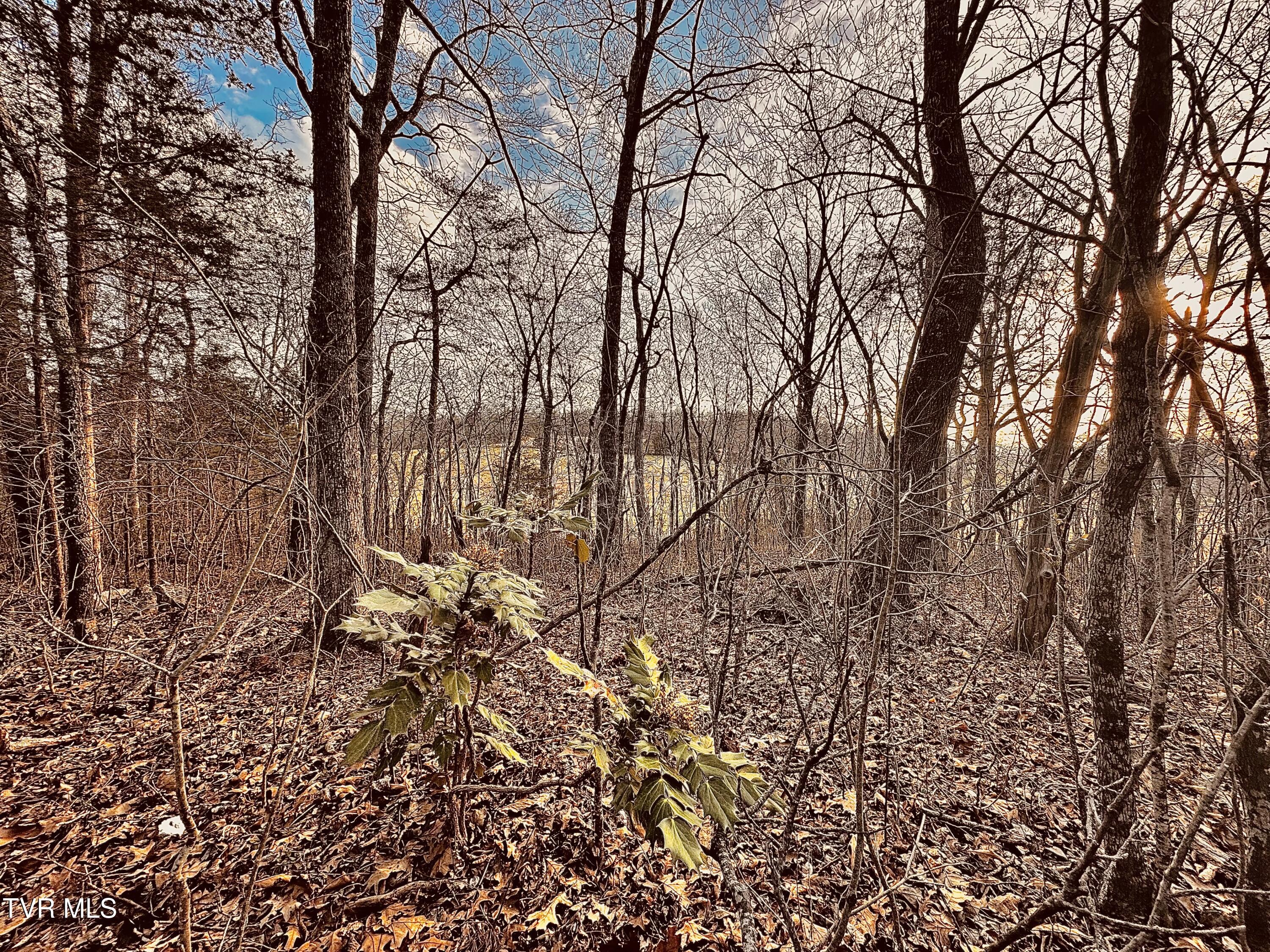 Tbd St James Road, Greeneville, Tennessee image 11