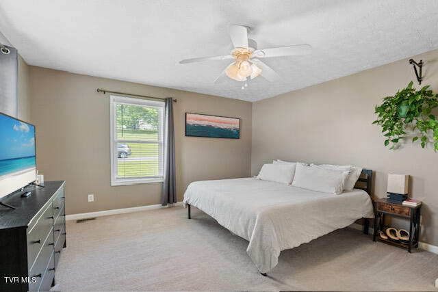 128 Whispering Ridges Road, Greeneville, Tennessee image 18