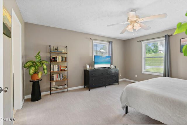 128 Whispering Ridges Road, Greeneville, Tennessee image 17