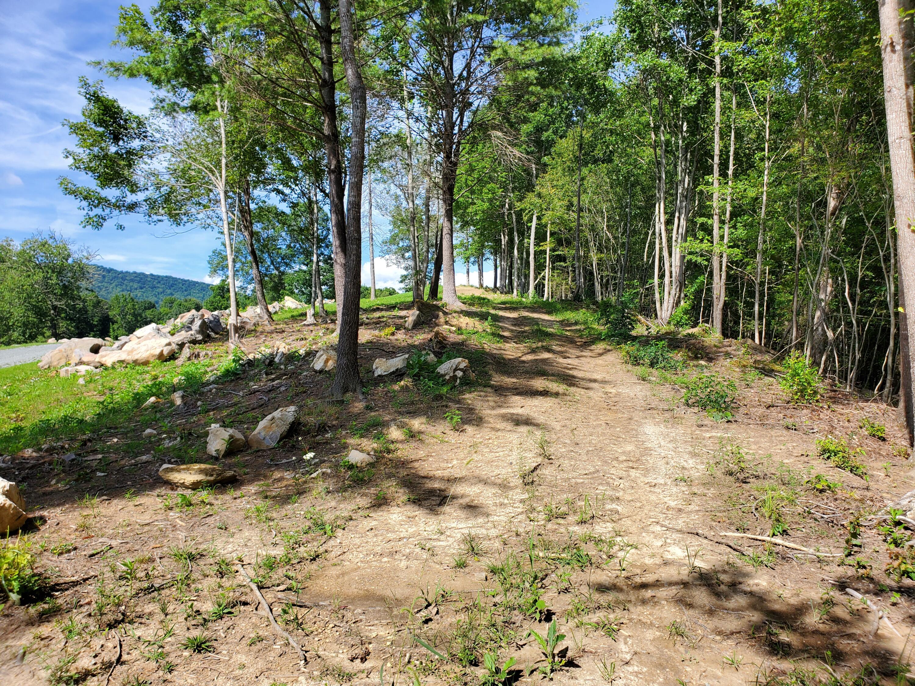 Lot 11 Draft Road, Butler, Tennessee image 10