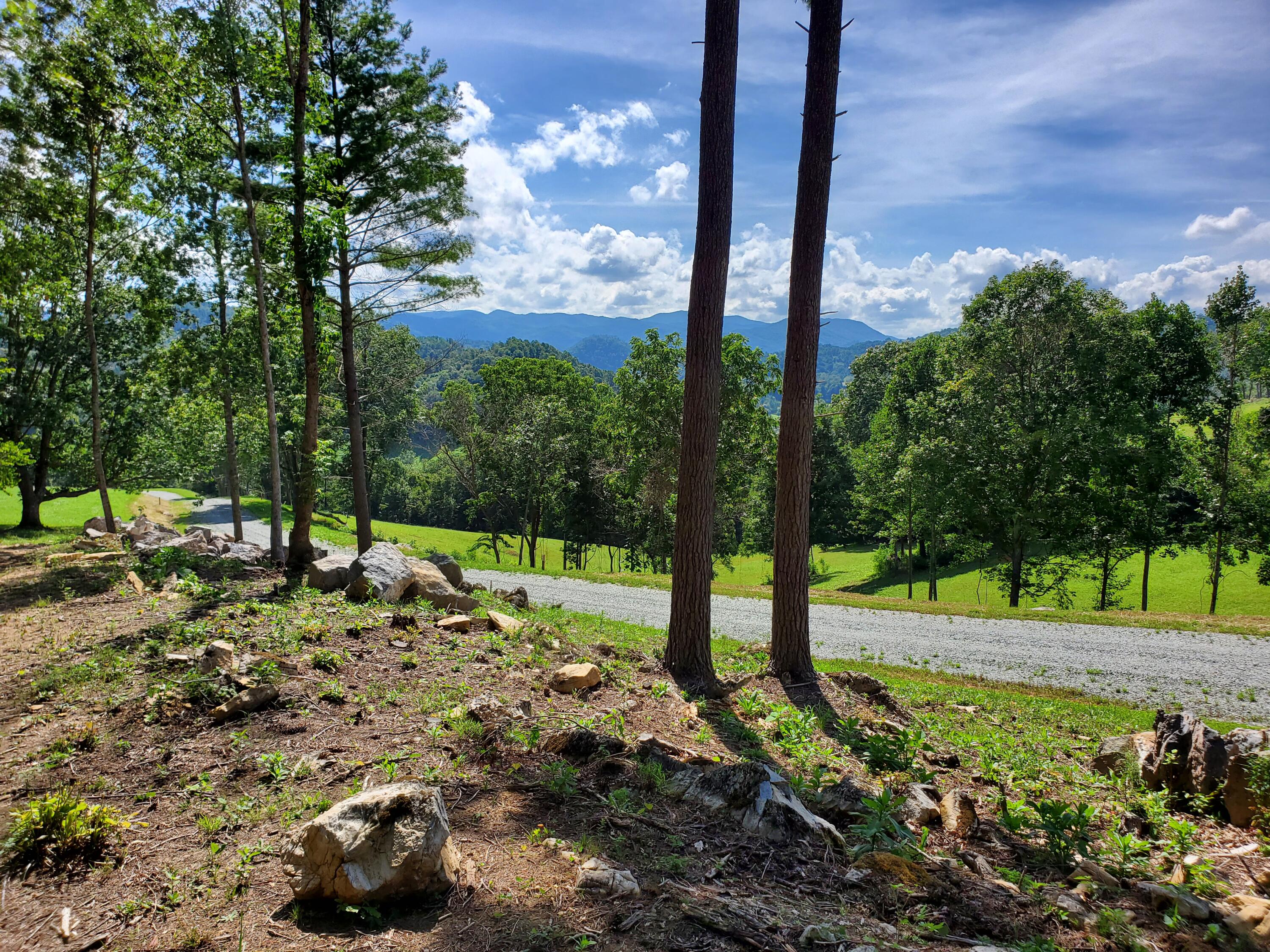 Lot 11 Draft Road, Butler, Tennessee image 2