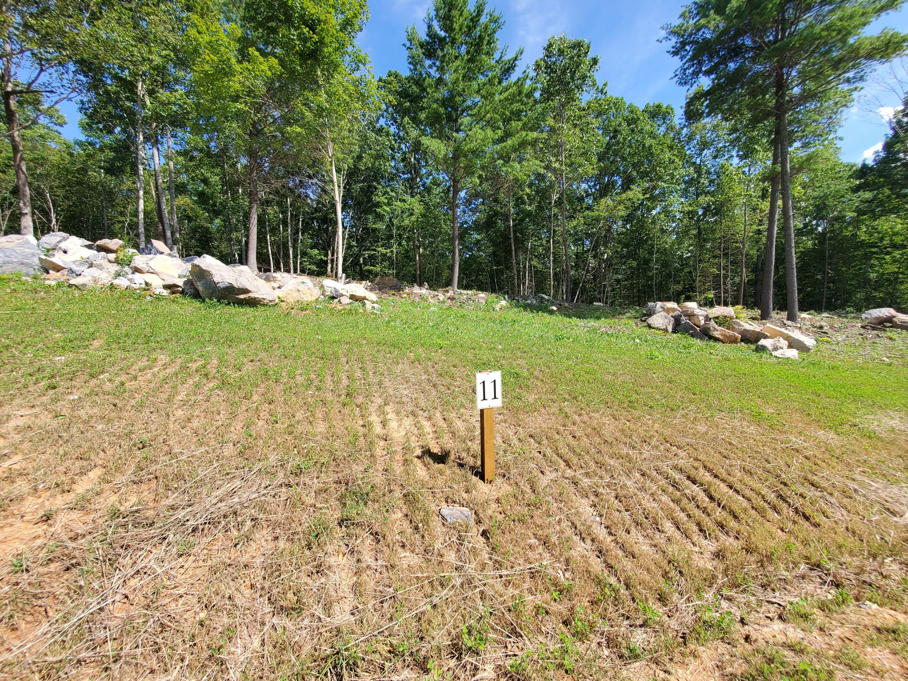 Lot 11 Draft Road, Butler, Tennessee image 12