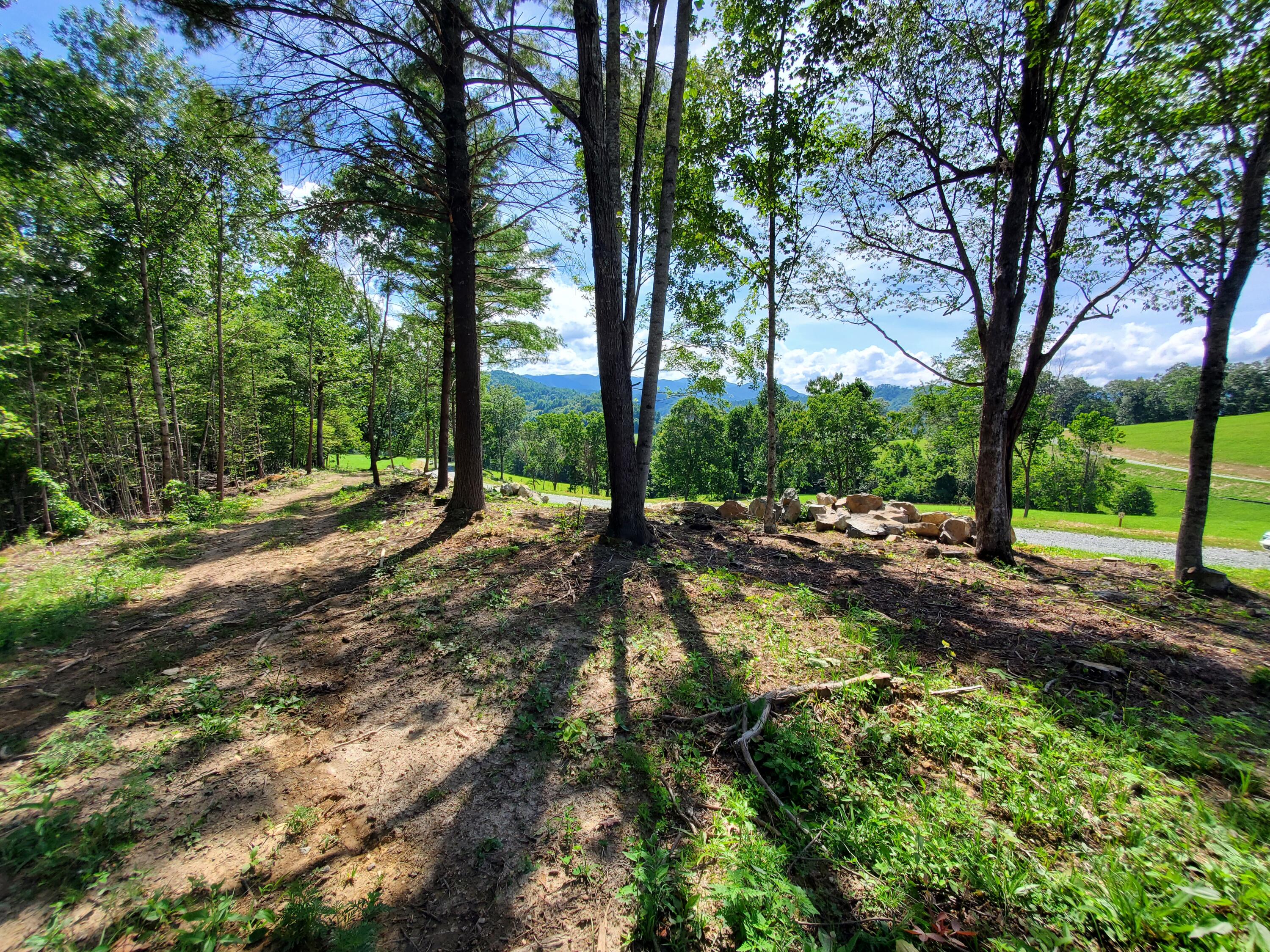 Lot 11 Draft Road, Butler, Tennessee image 5