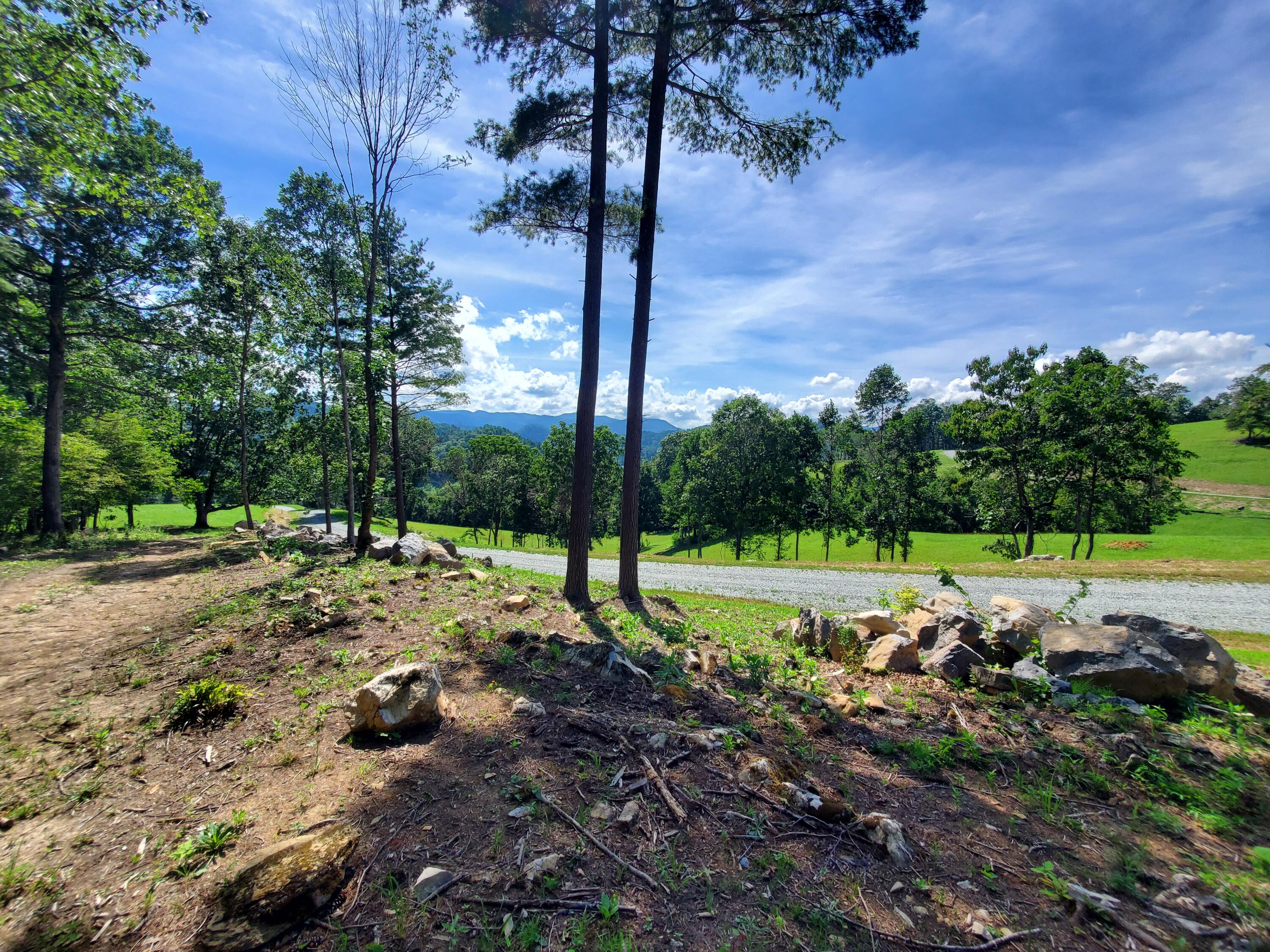 Lot 11 Draft Road, Butler, Tennessee image 11