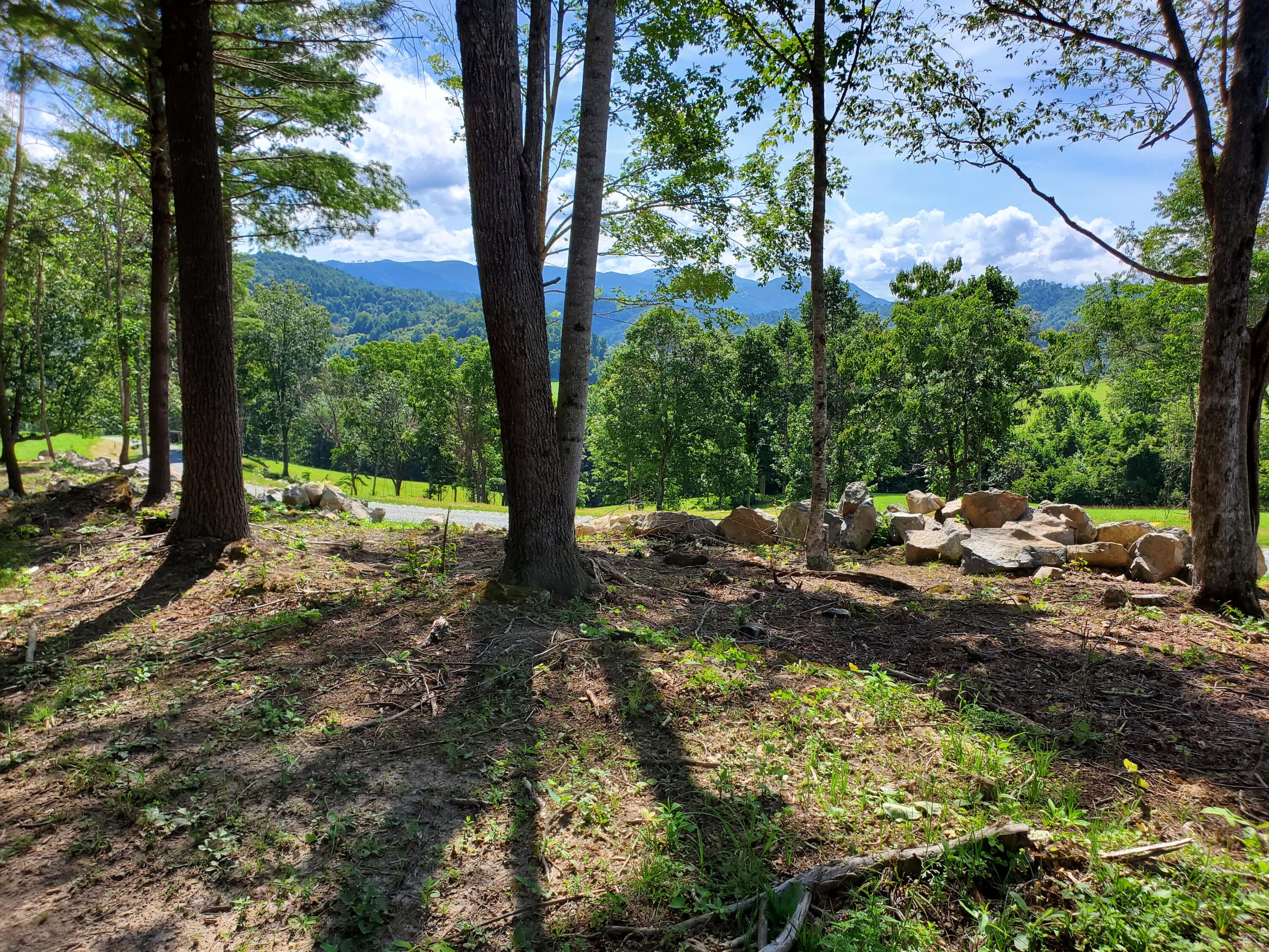 Lot 11 Draft Road, Butler, Tennessee image 9